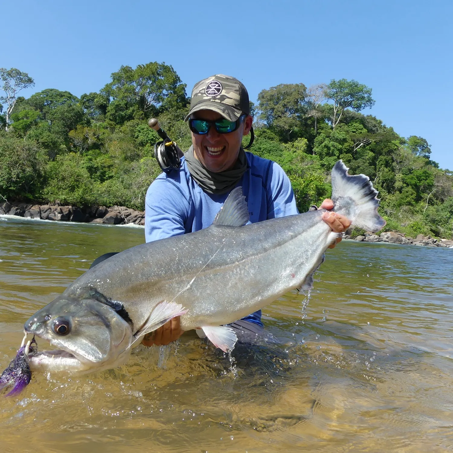 The most recent Vampire fish catches on Fishbrain