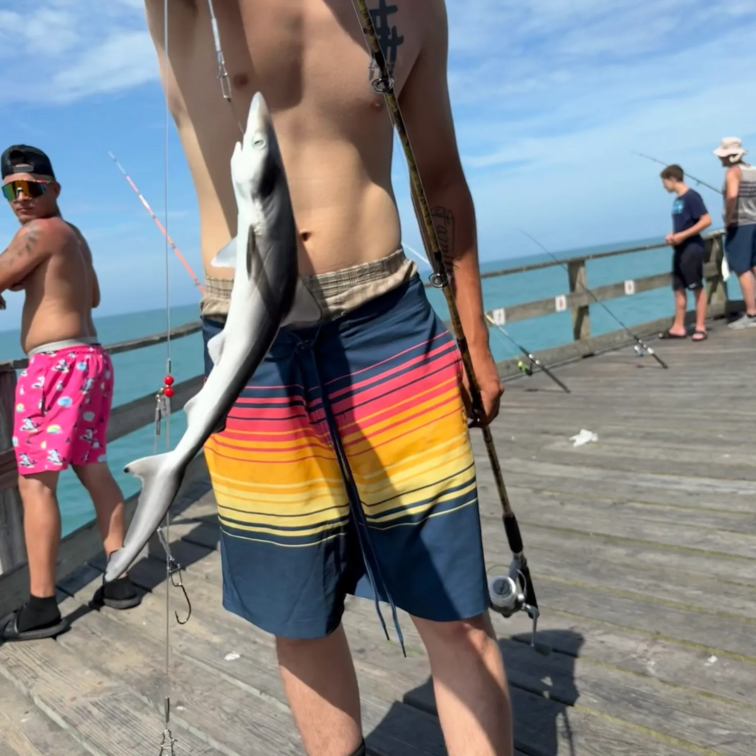The most recent Atlantic sharpnose shark catches on Fishbrain