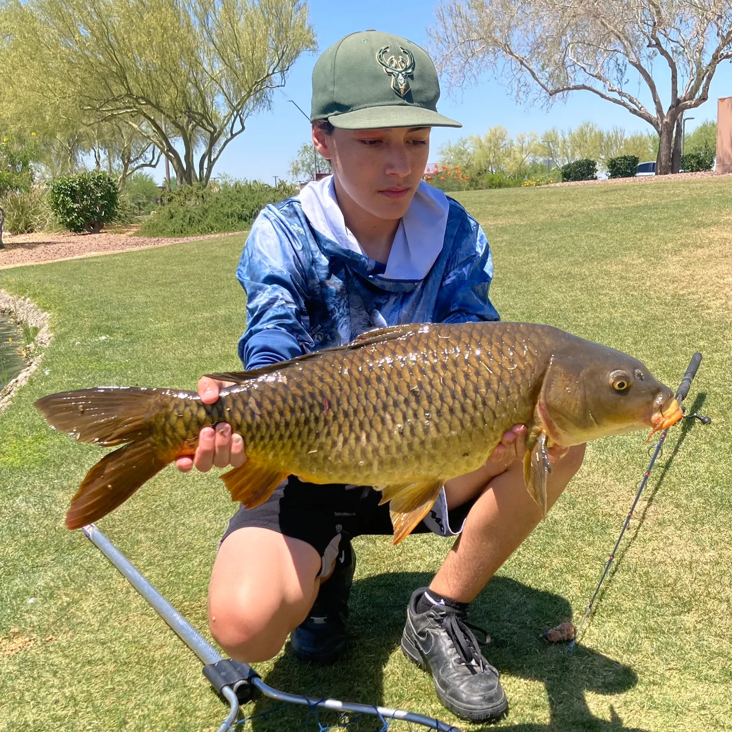 The most recent Common carp catches on Fishbrain