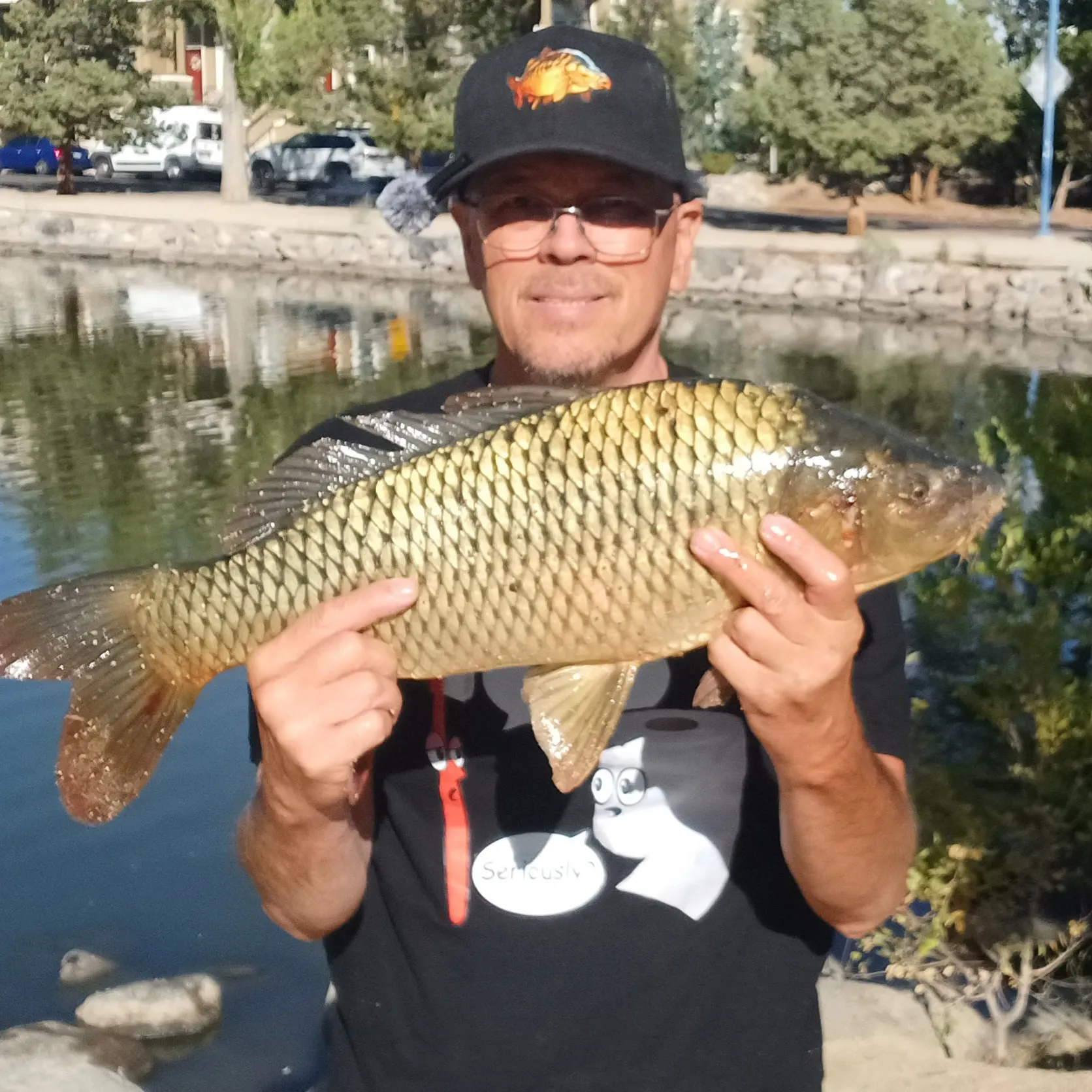 Common carp caught on Fishbrain