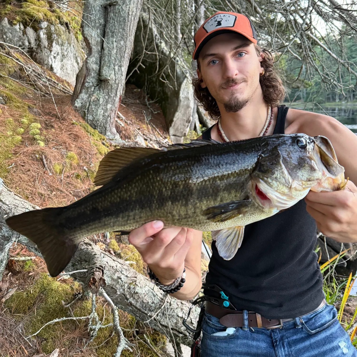 Largemouth bass caught on Fishbrain