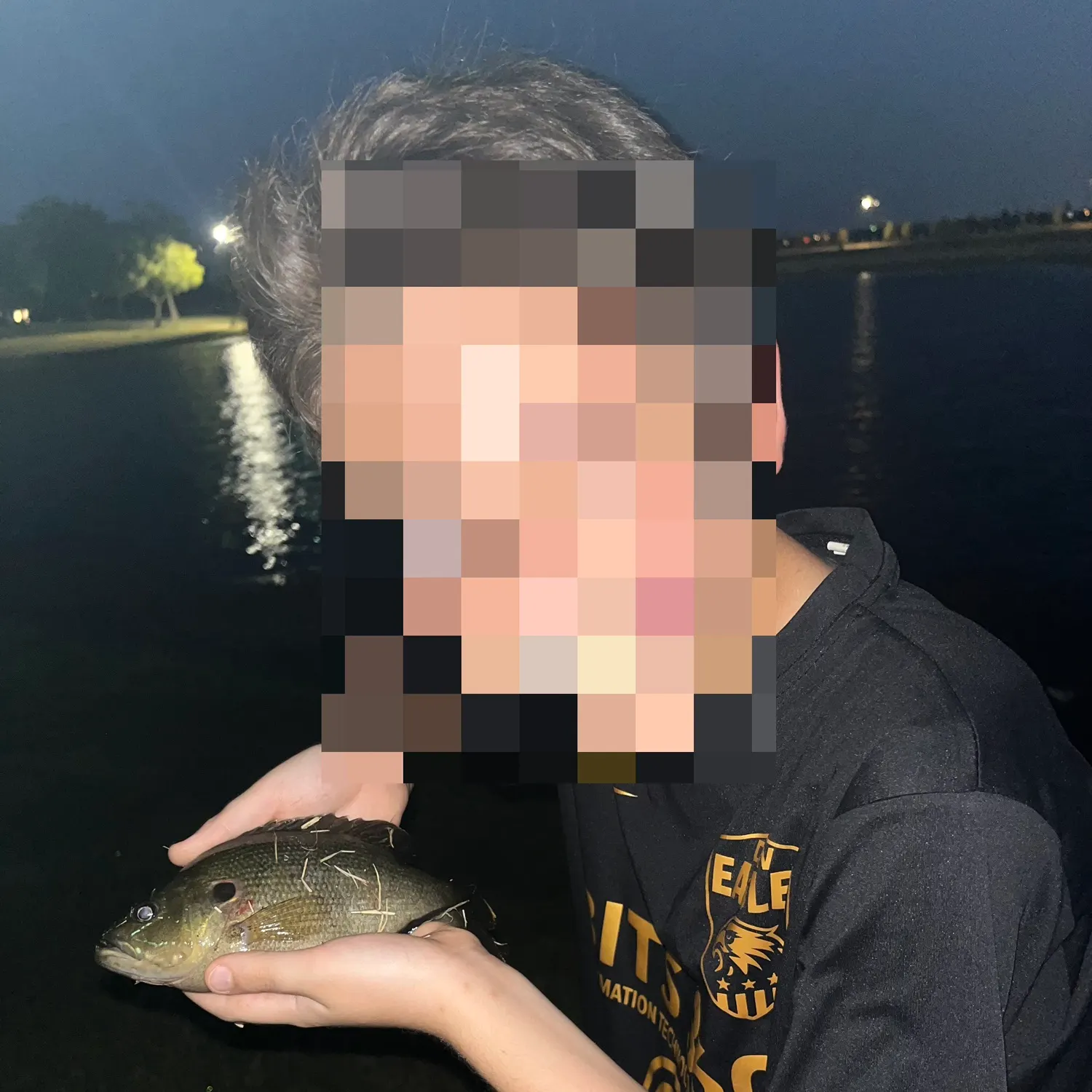 Green sunfish caught on Fishbrain