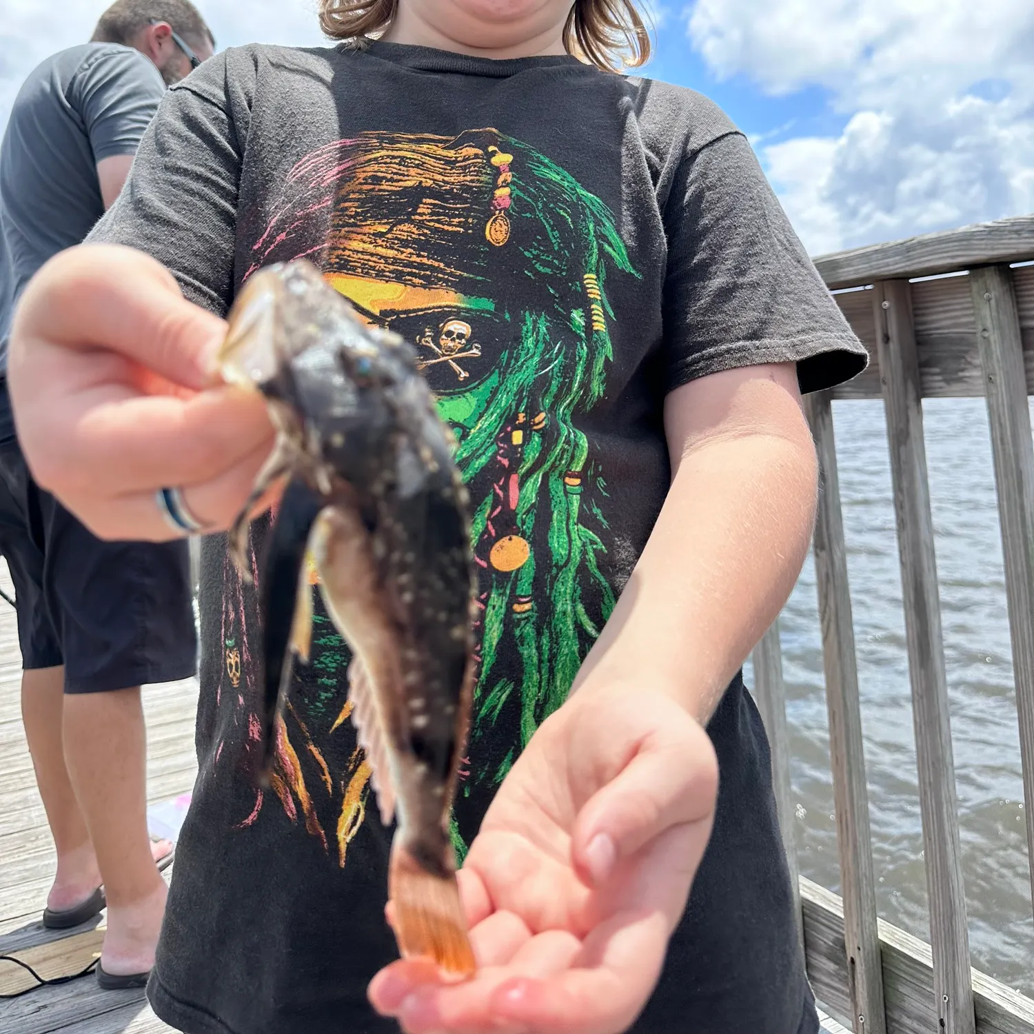 Blackwing searobin caught on Fishbrain