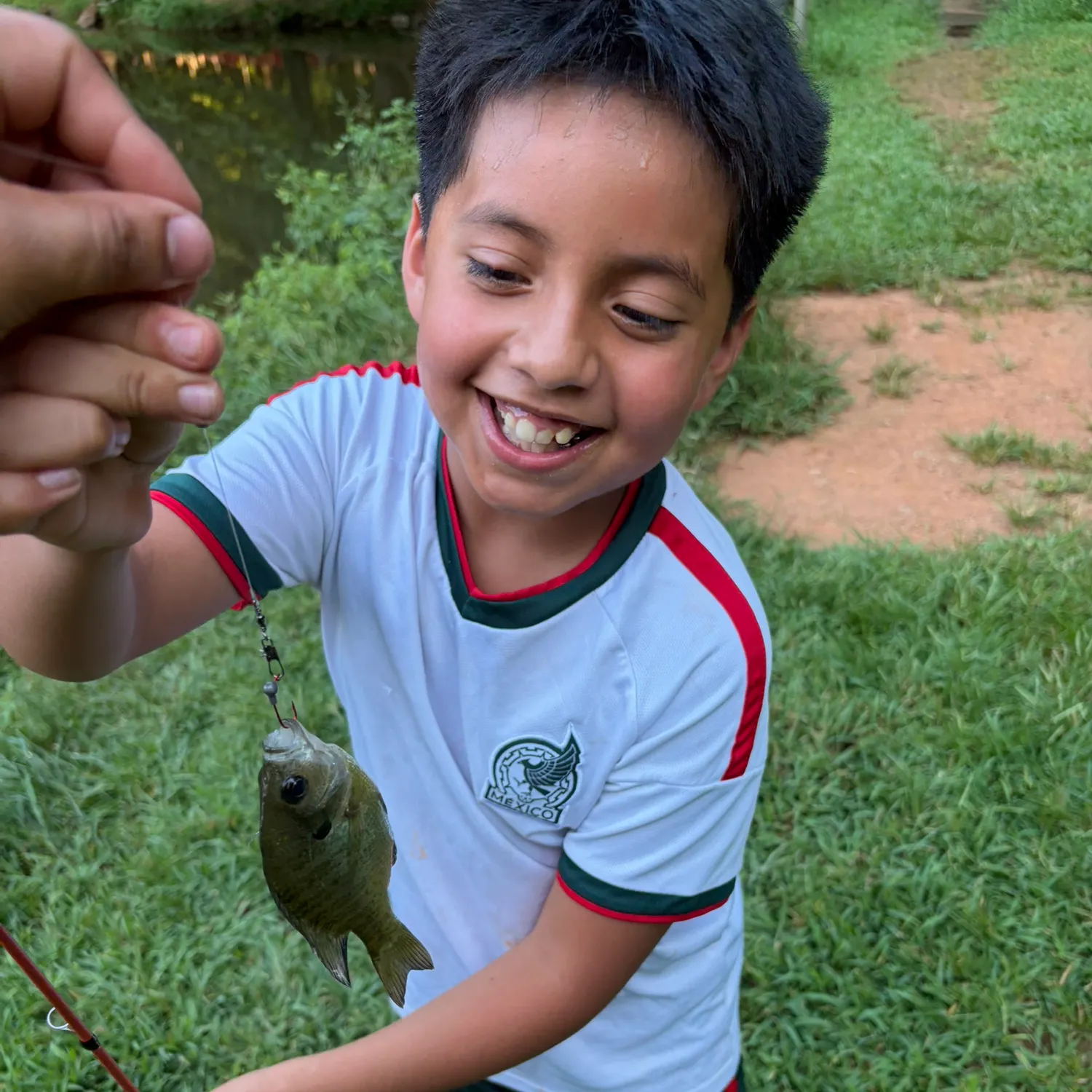 Bluegill caught on Fishbrain
