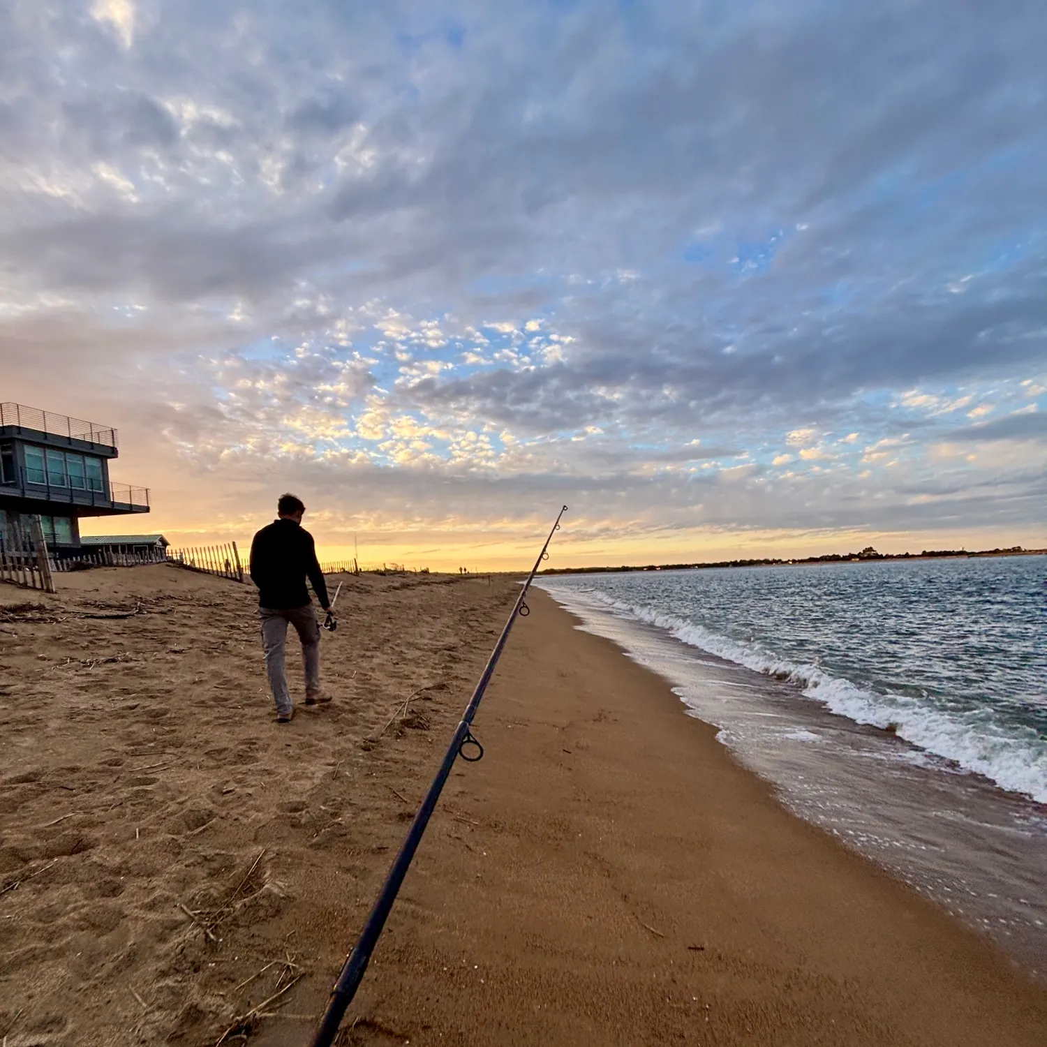 Atlantic mackerel caught on Fishbrain