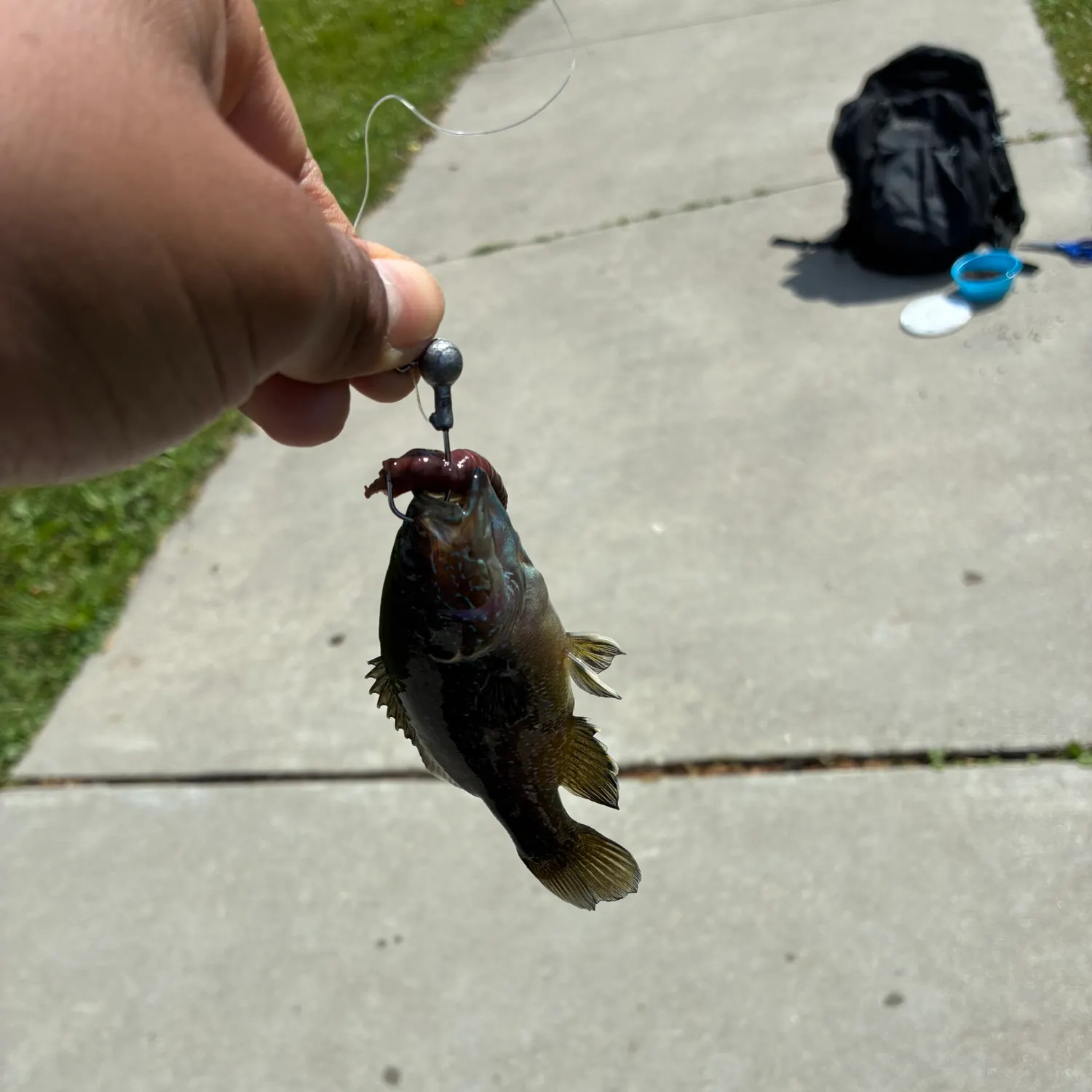 catch