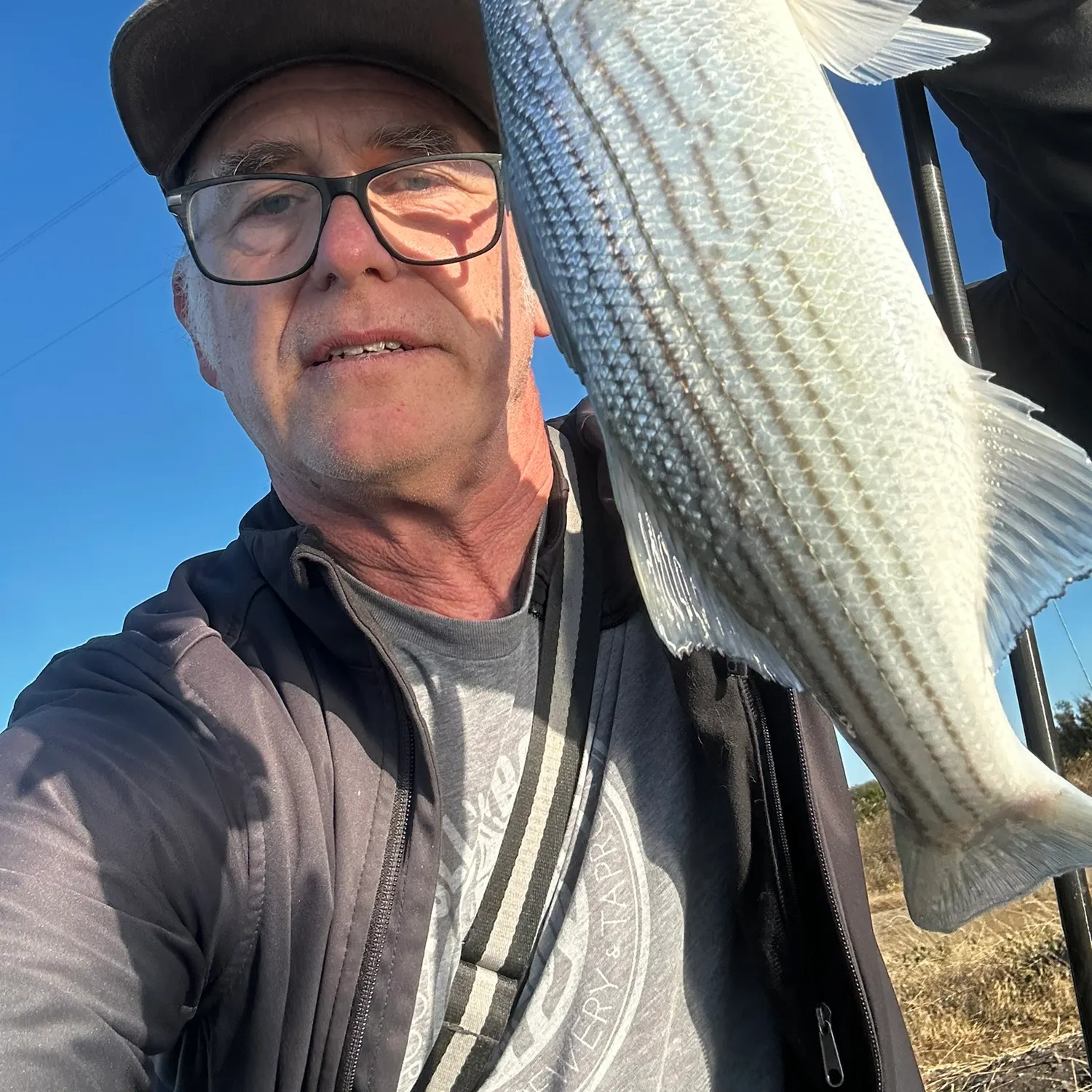 Striped bass caught on Fishbrain