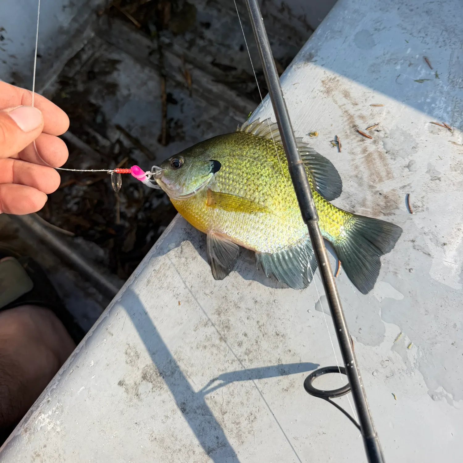 catch