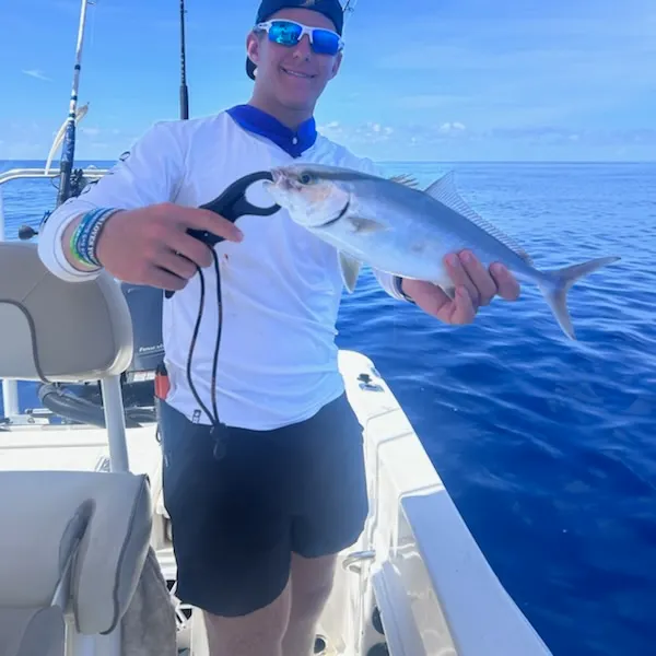 The most recent Lesser amberjack catches on Fishbrain
