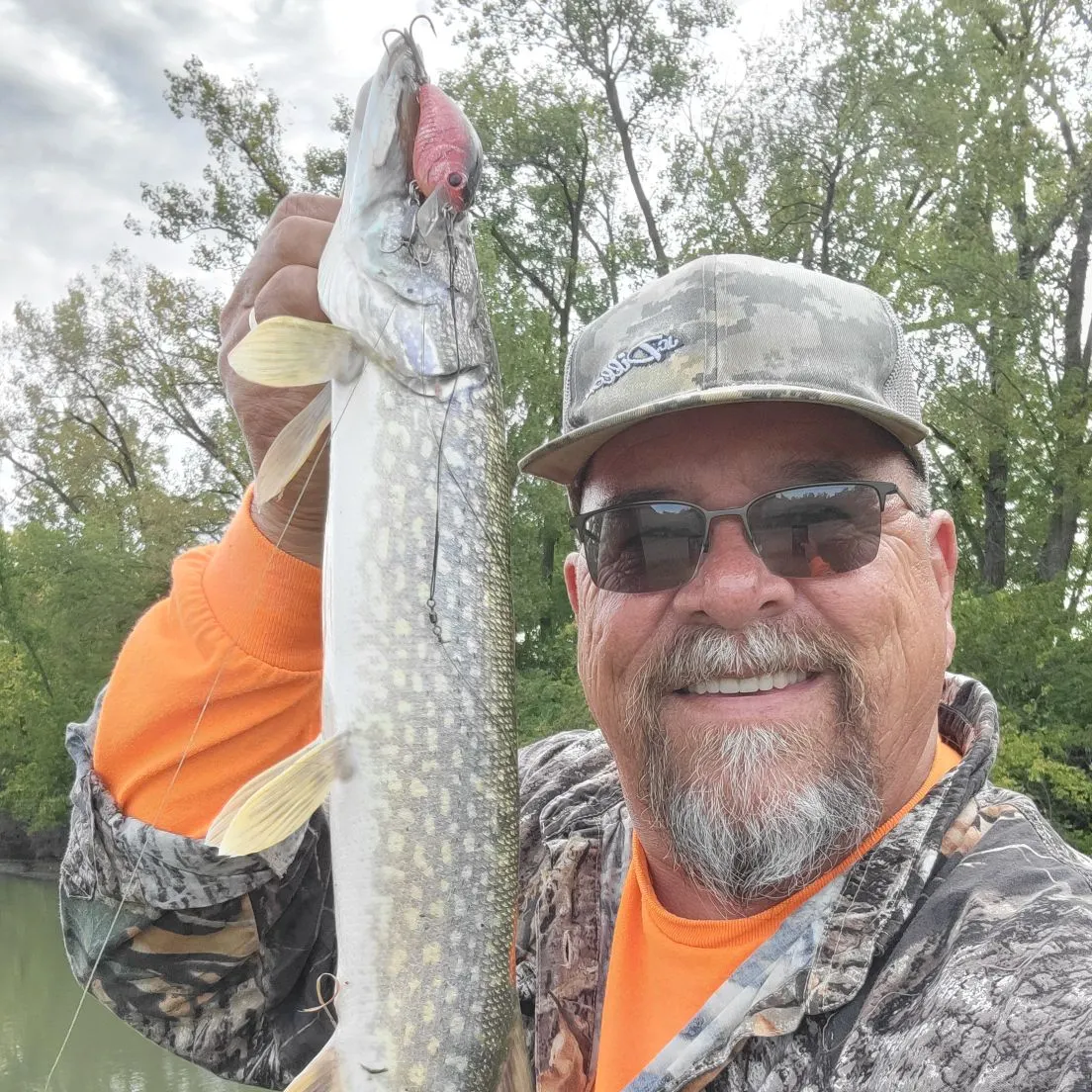 Northern pike caught on Fishbrain