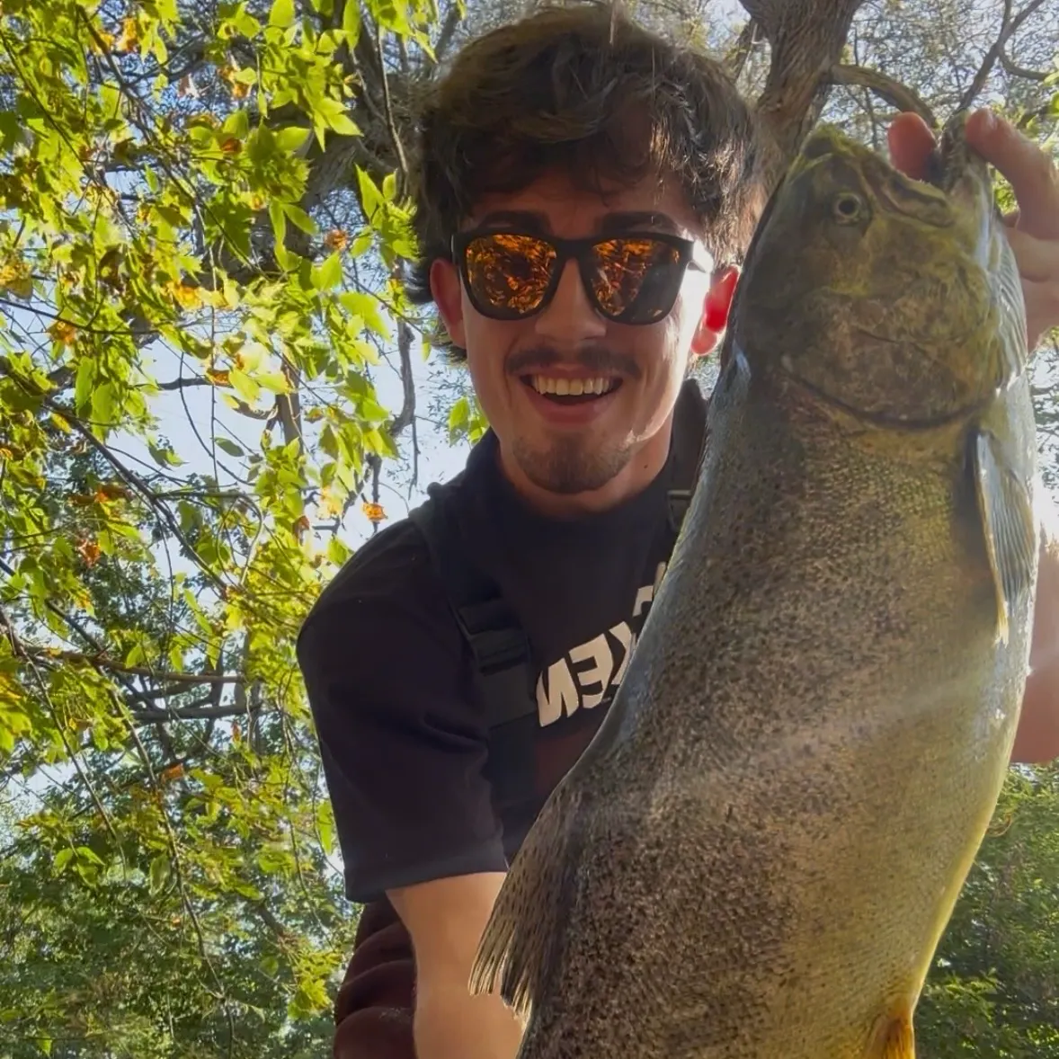 Chinook salmon caught on Fishbrain