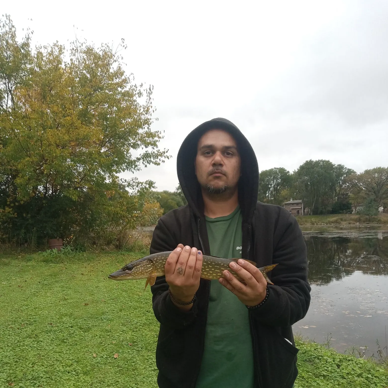 Northern pike caught on Fishbrain