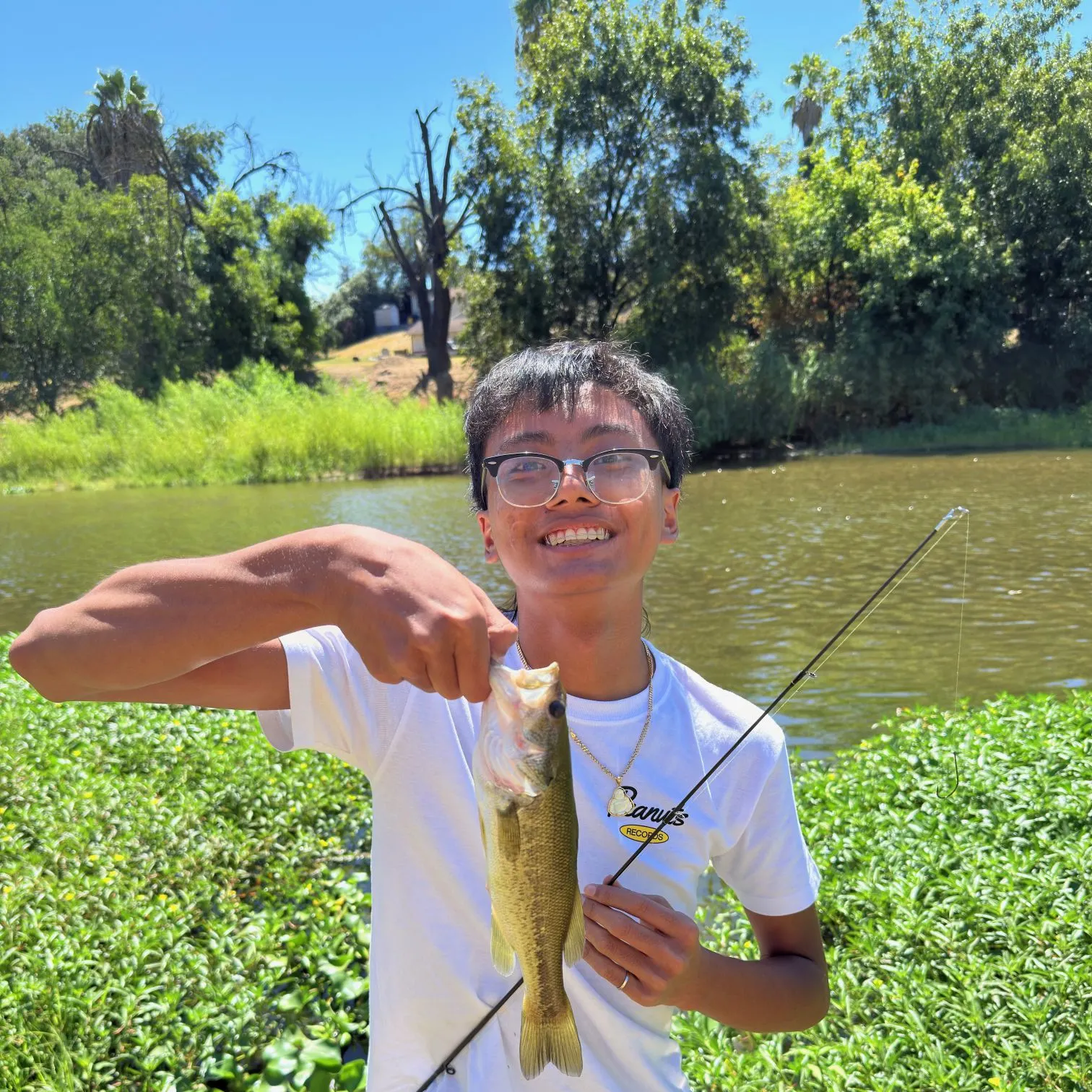 Largemouth bass caught on Fishbrain