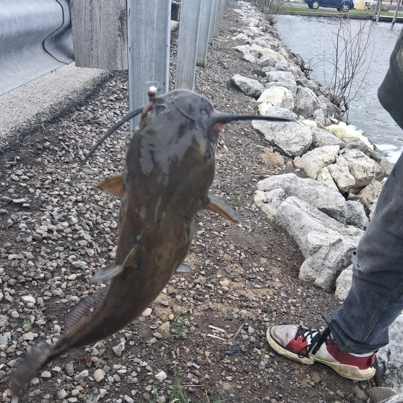 catch