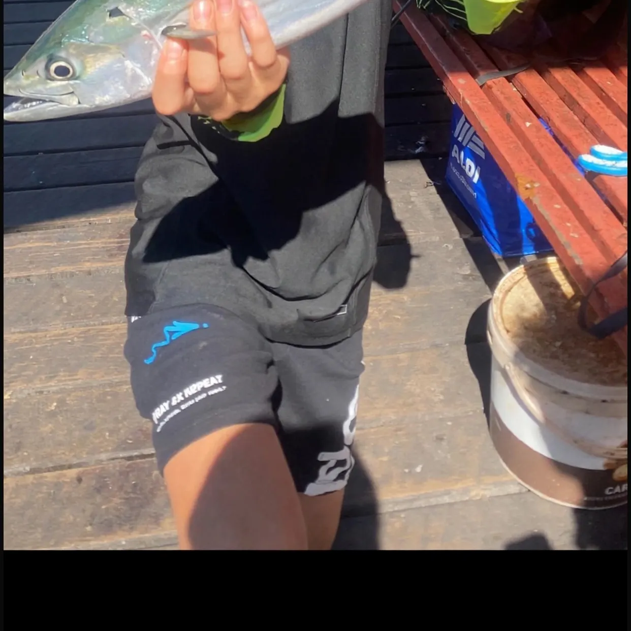 The most recent Eastern Pacific bonito catches on Fishbrain