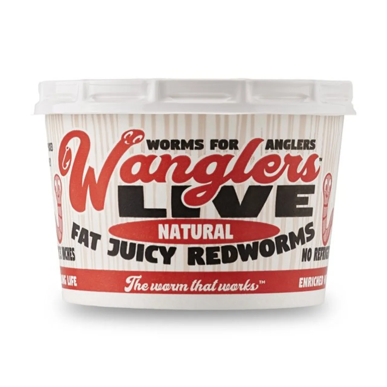 LIVE Fat Juicy Redworms