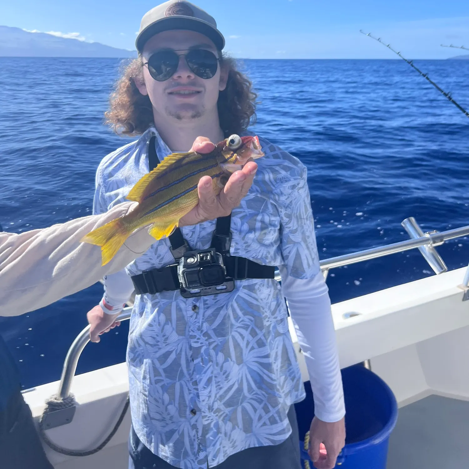 The most recent Common bluestripe snapper catches on Fishbrain