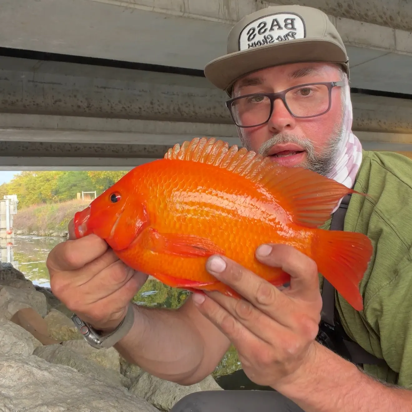 The most recent Red devil cichlid catches on Fishbrain