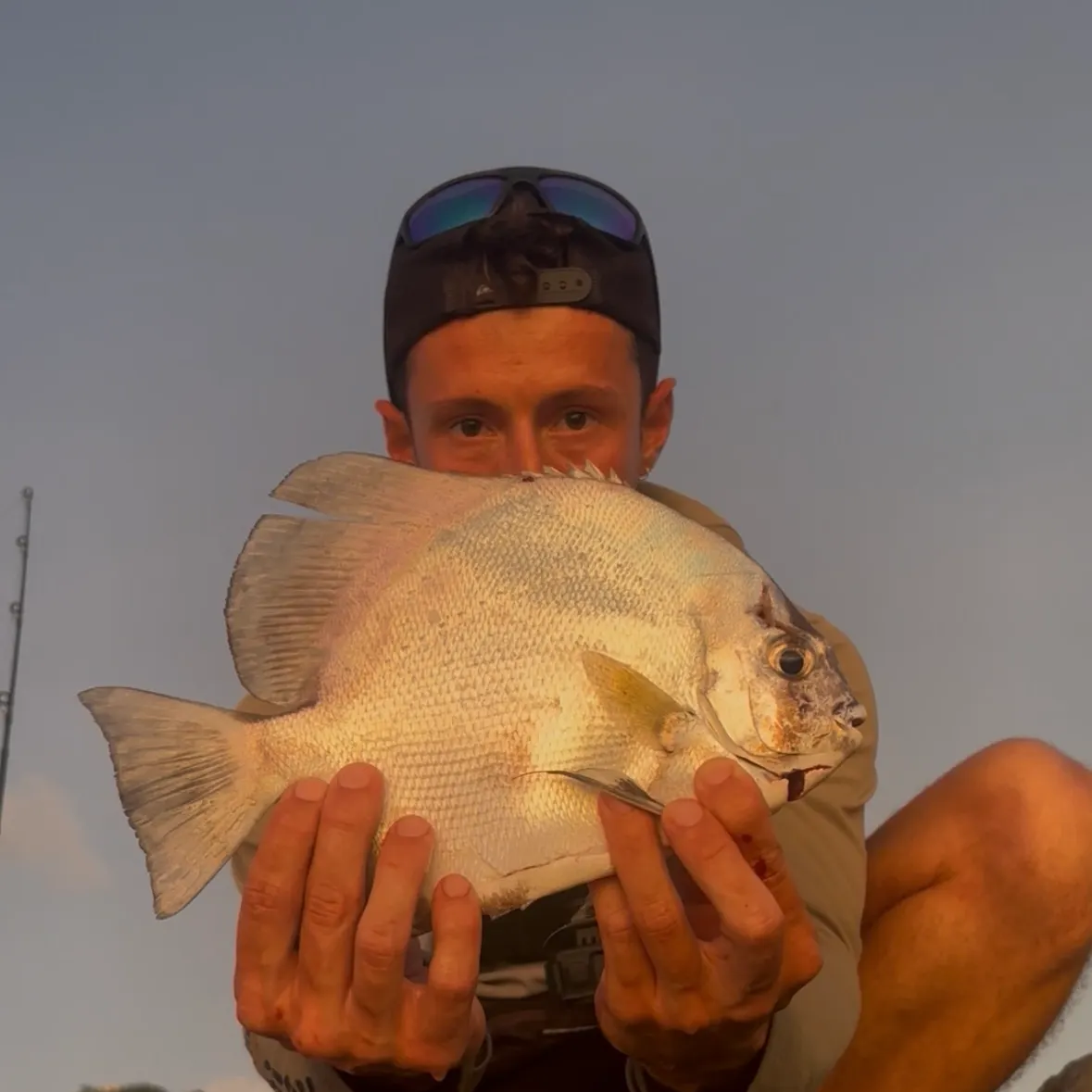 The most recent Orbicular batfish catches on Fishbrain