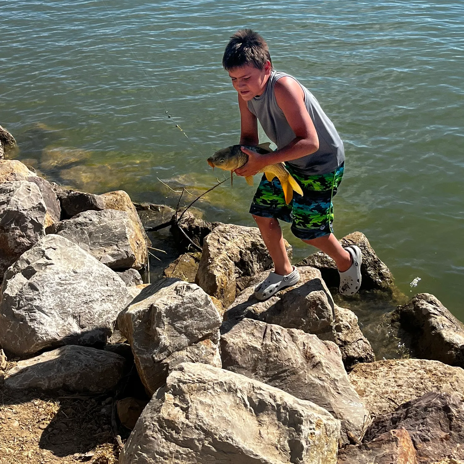 recently logged catches