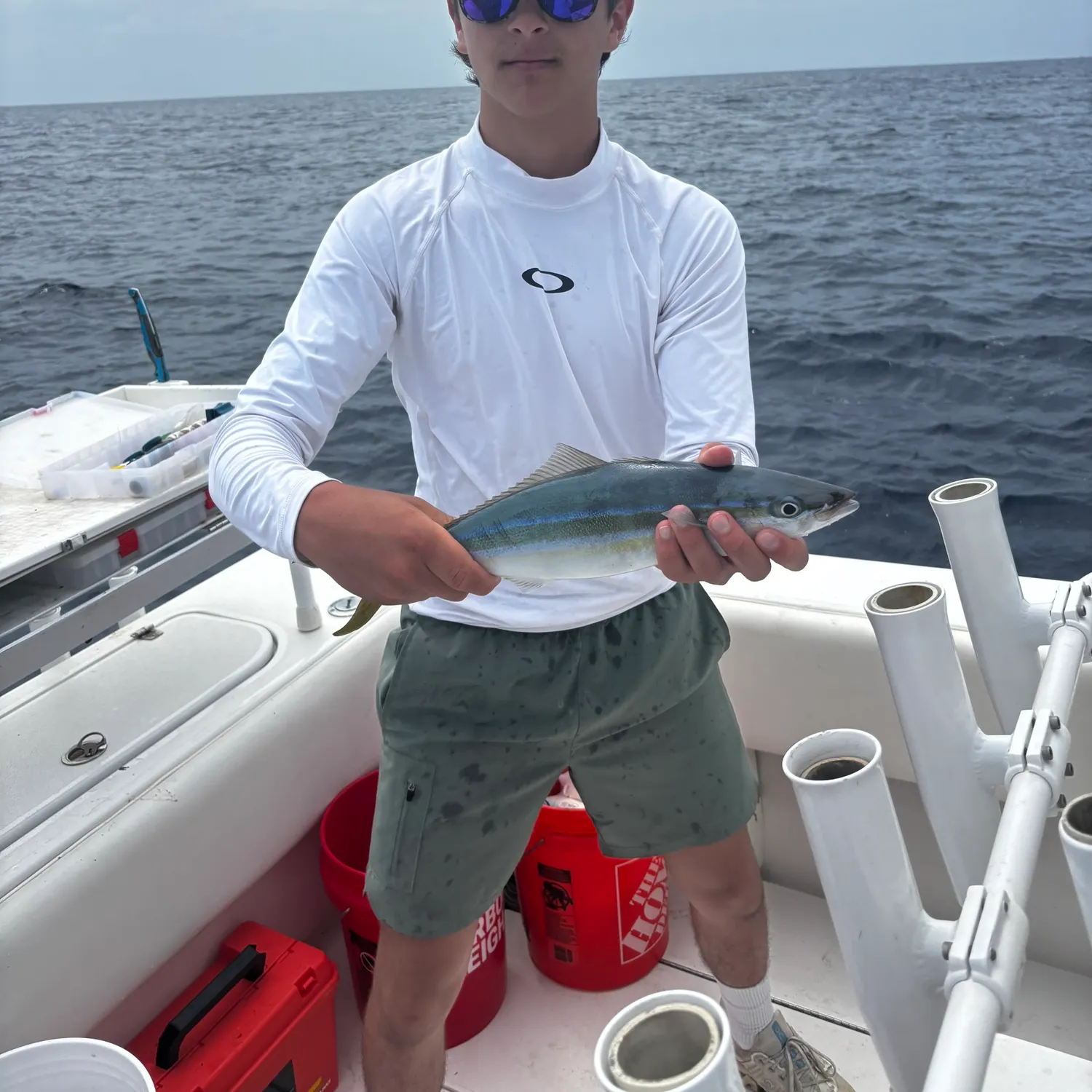 The most recent Rainbow runner catches on Fishbrain