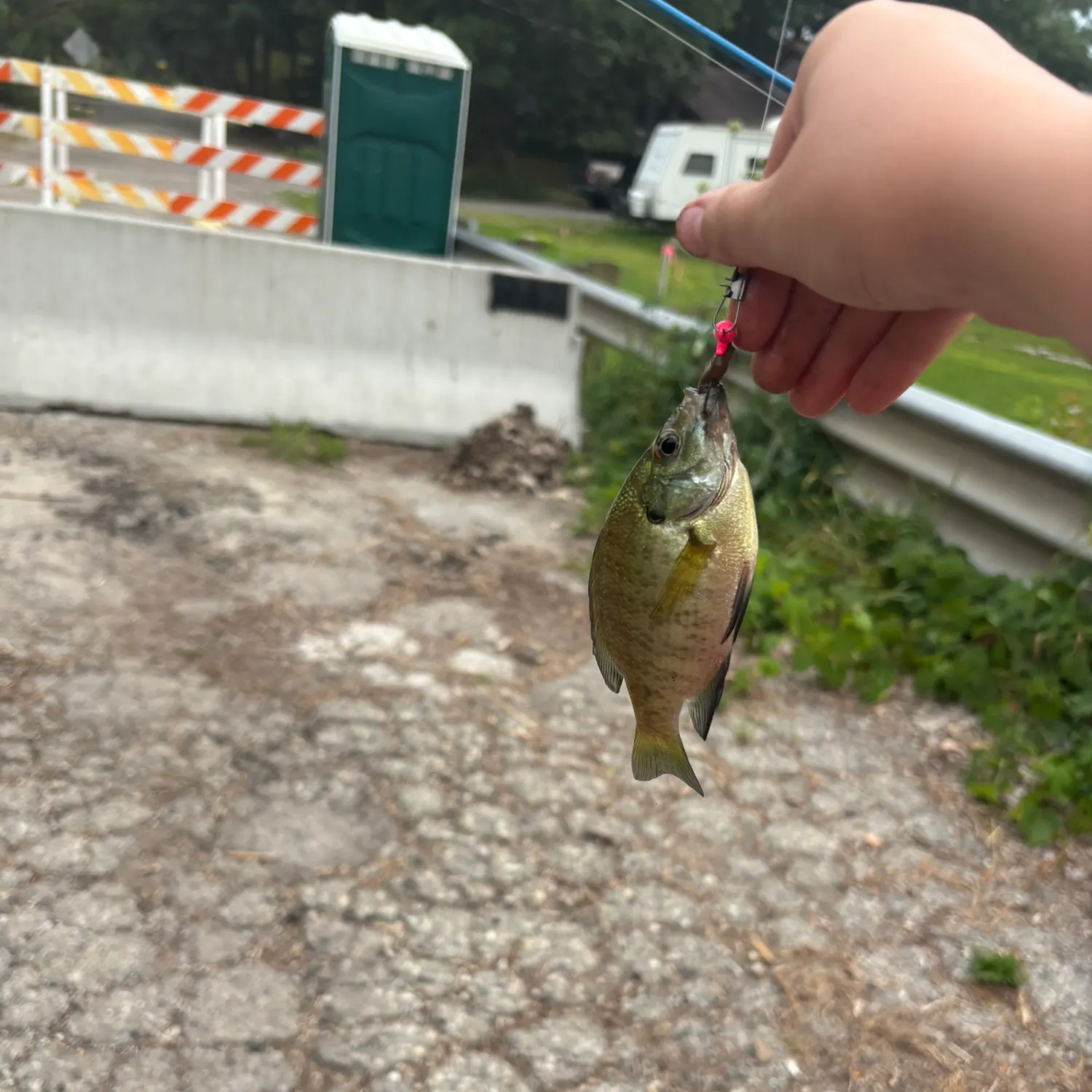 catch