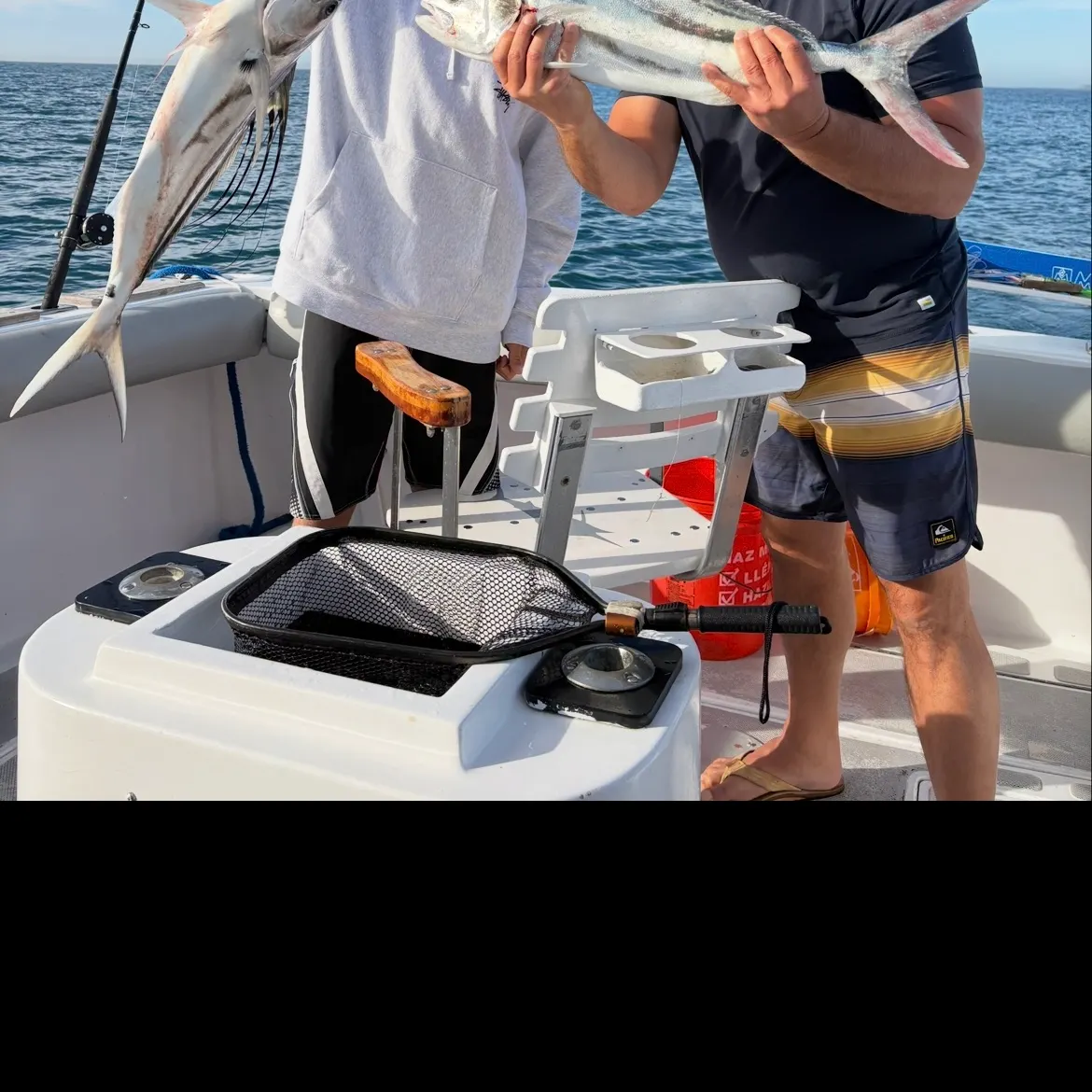 The most recent Roosterfish catches on Fishbrain