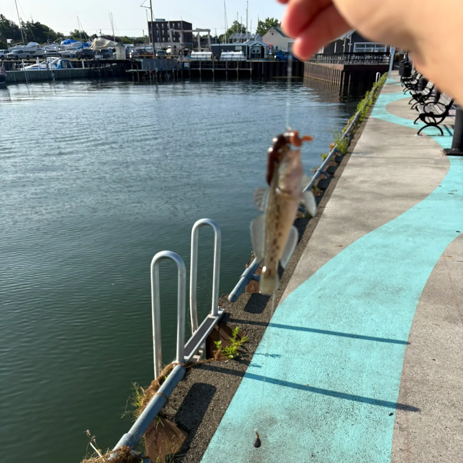 catch