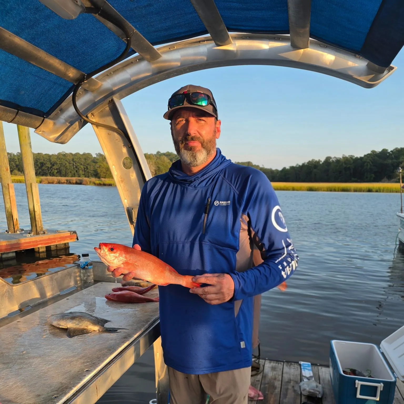 The most recent Vermilion snapper catches on Fishbrain