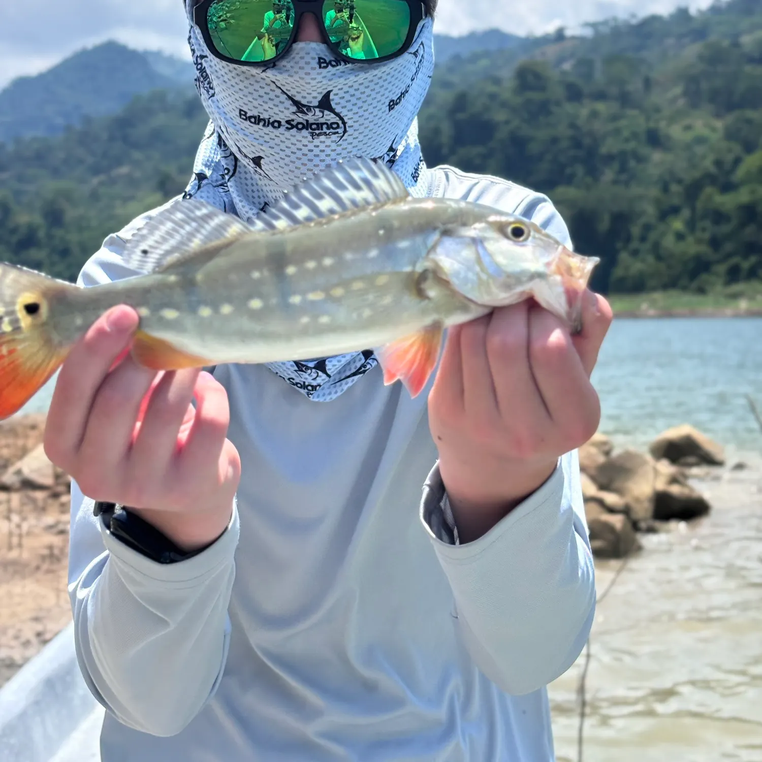 The most recent Spotted peacock bass catches on Fishbrain
