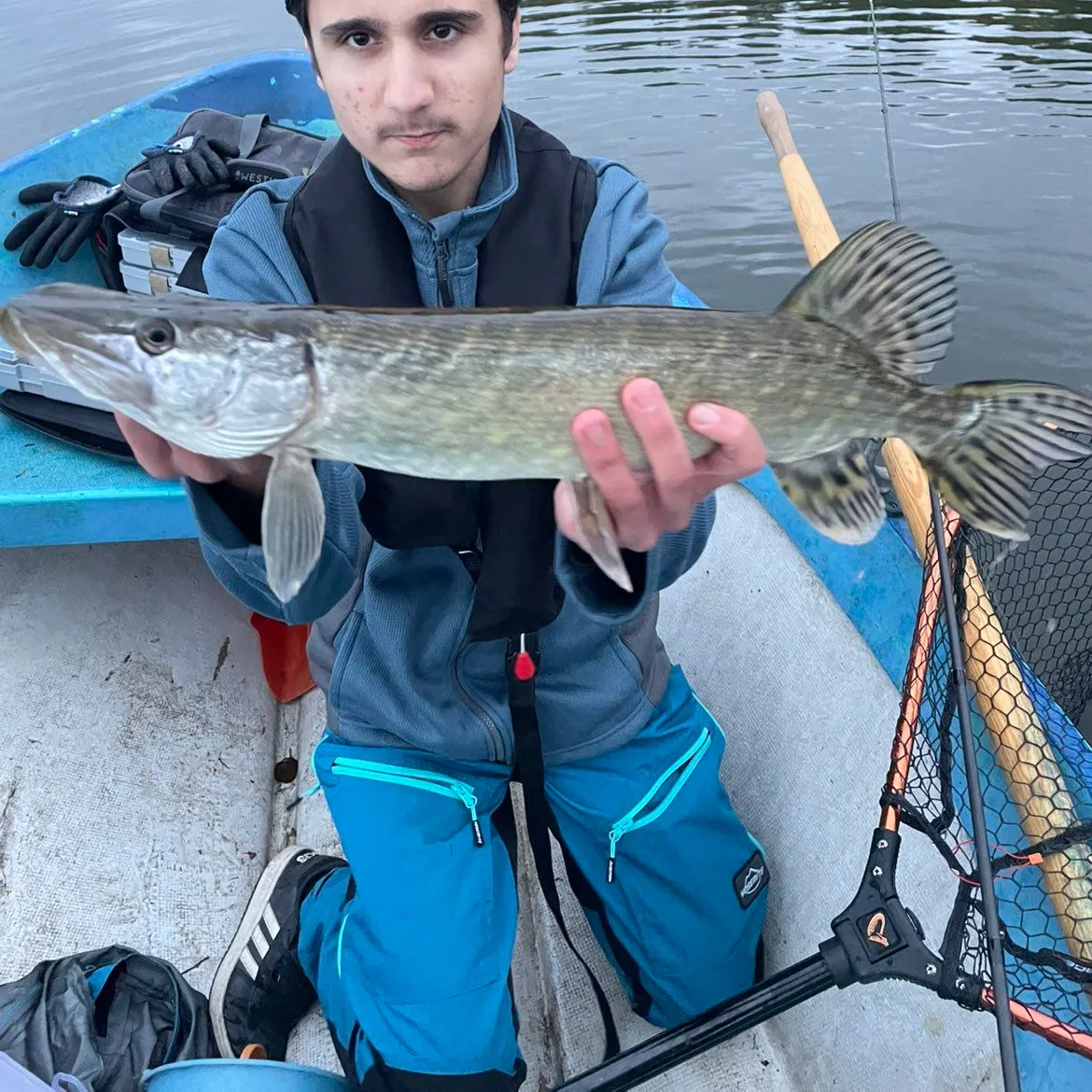 Northern pike caught on Fishbrain