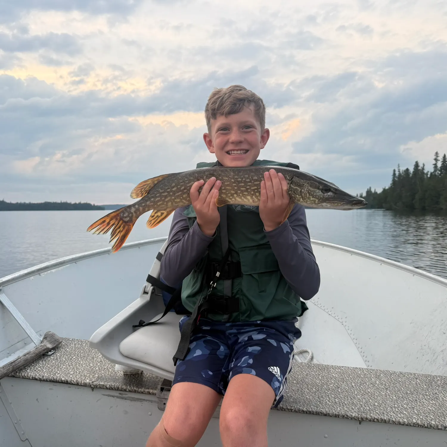 Northern pike caught on Fishbrain
