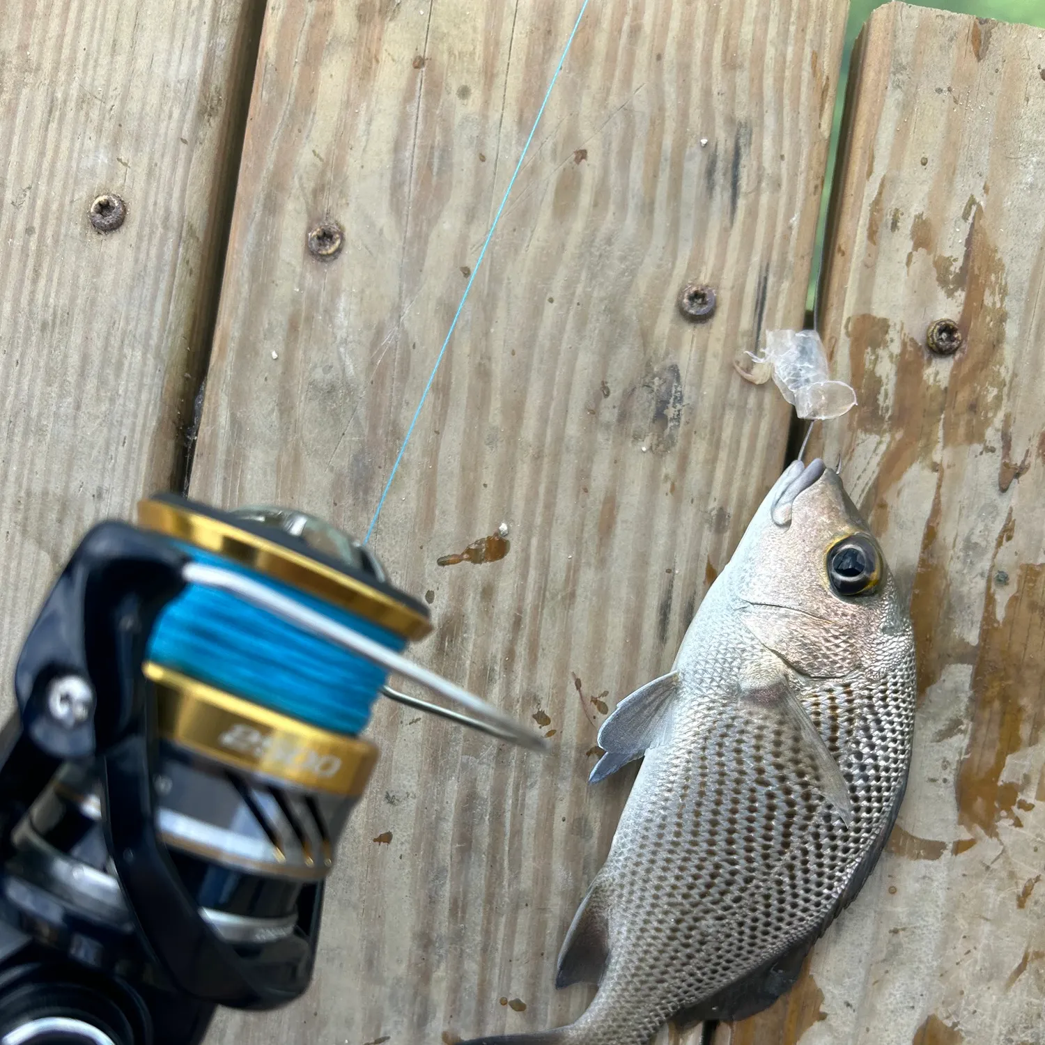 most liked catch image