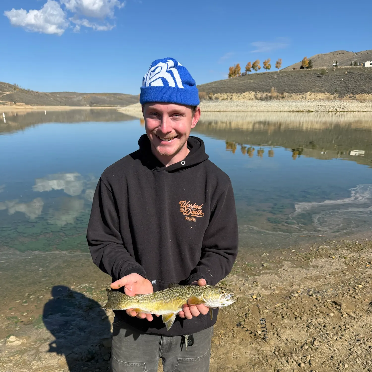 Tiger trout caught on Fishbrain