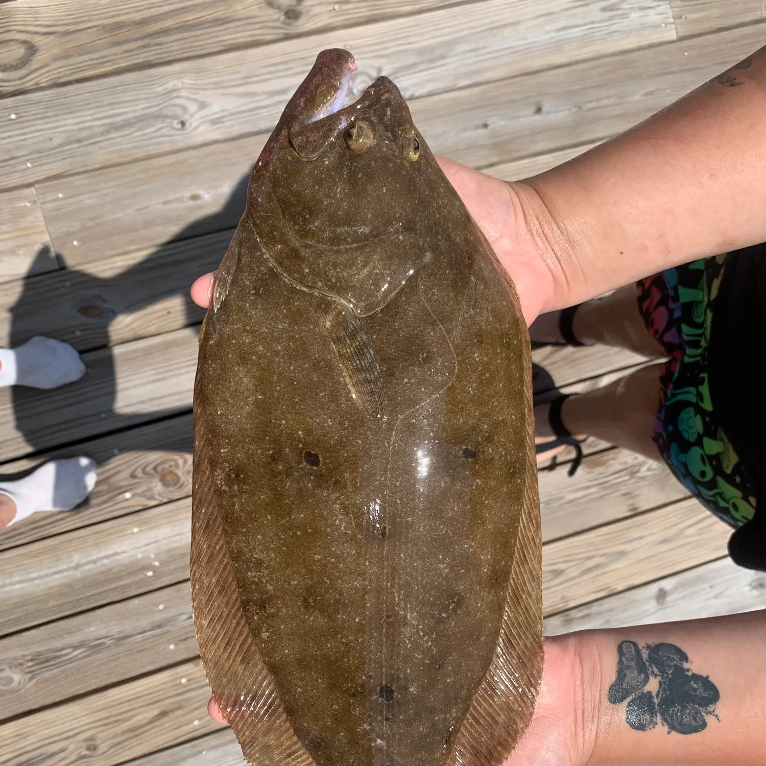 recently logged catches