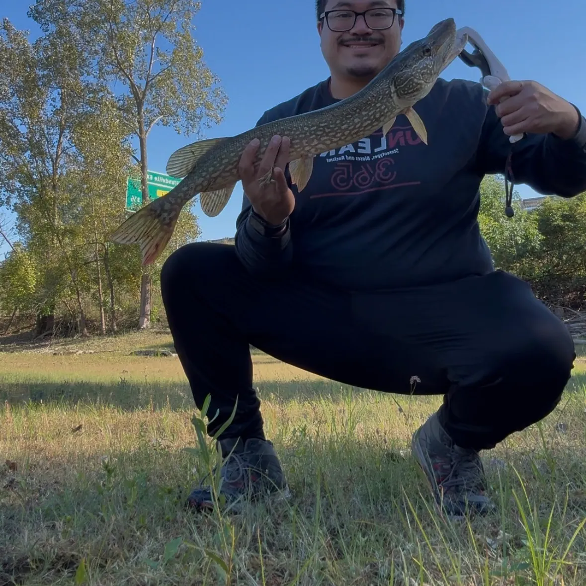Northern pike caught on Fishbrain