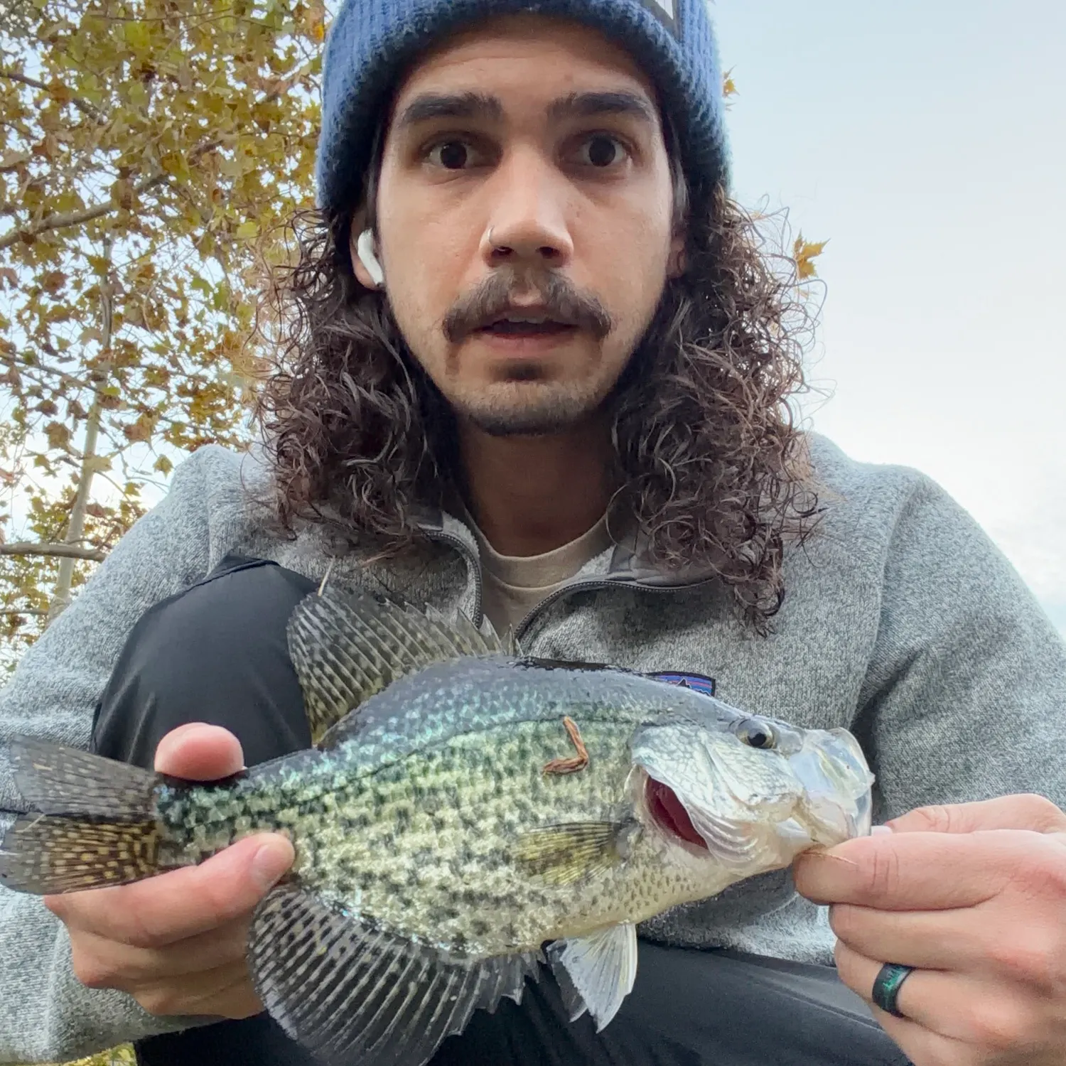 Black crappie caught on Fishbrain