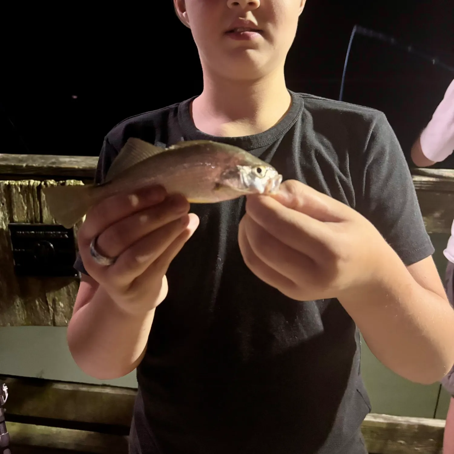 The most recent Silver perch catches on Fishbrain