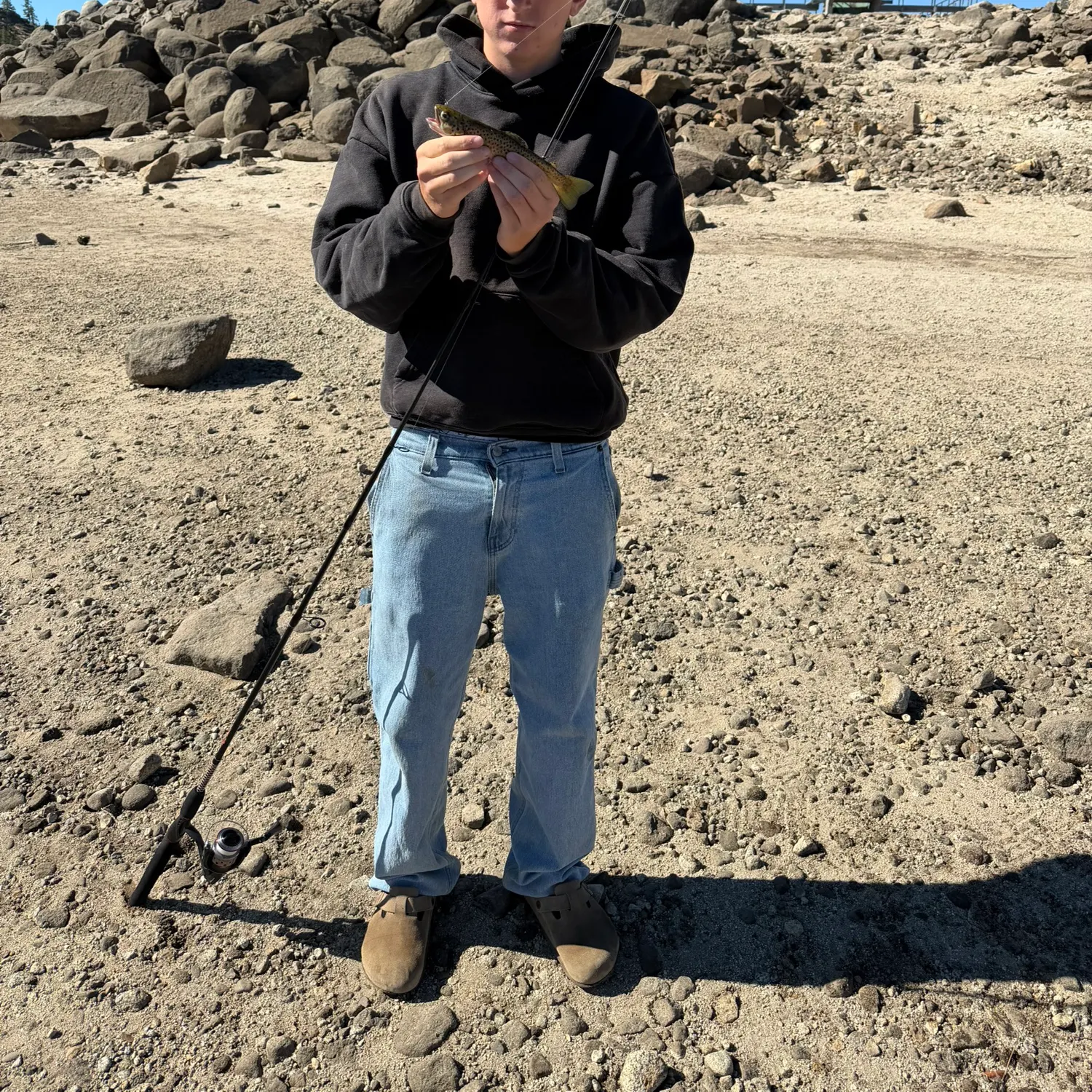 Brown trout caught on Fishbrain