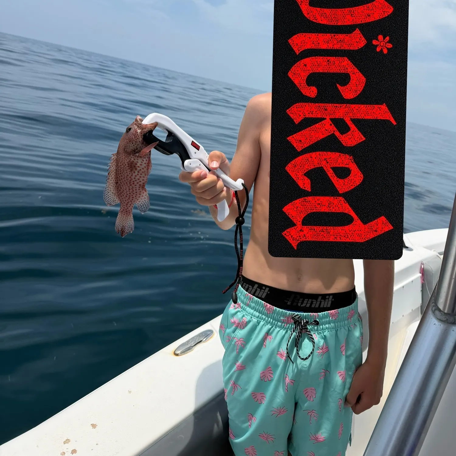 The most recent Speckled hind catches on Fishbrain
