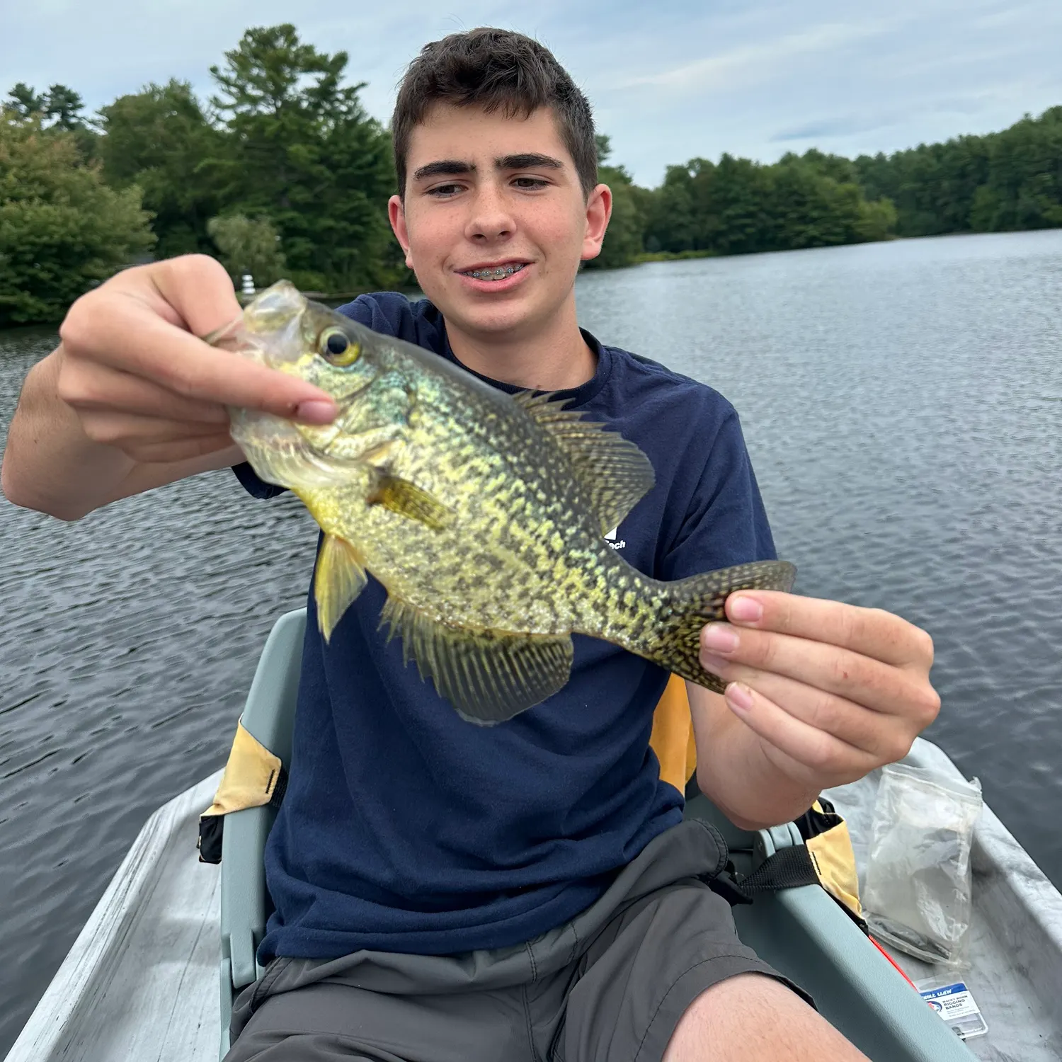 Black crappie caught on Fishbrain