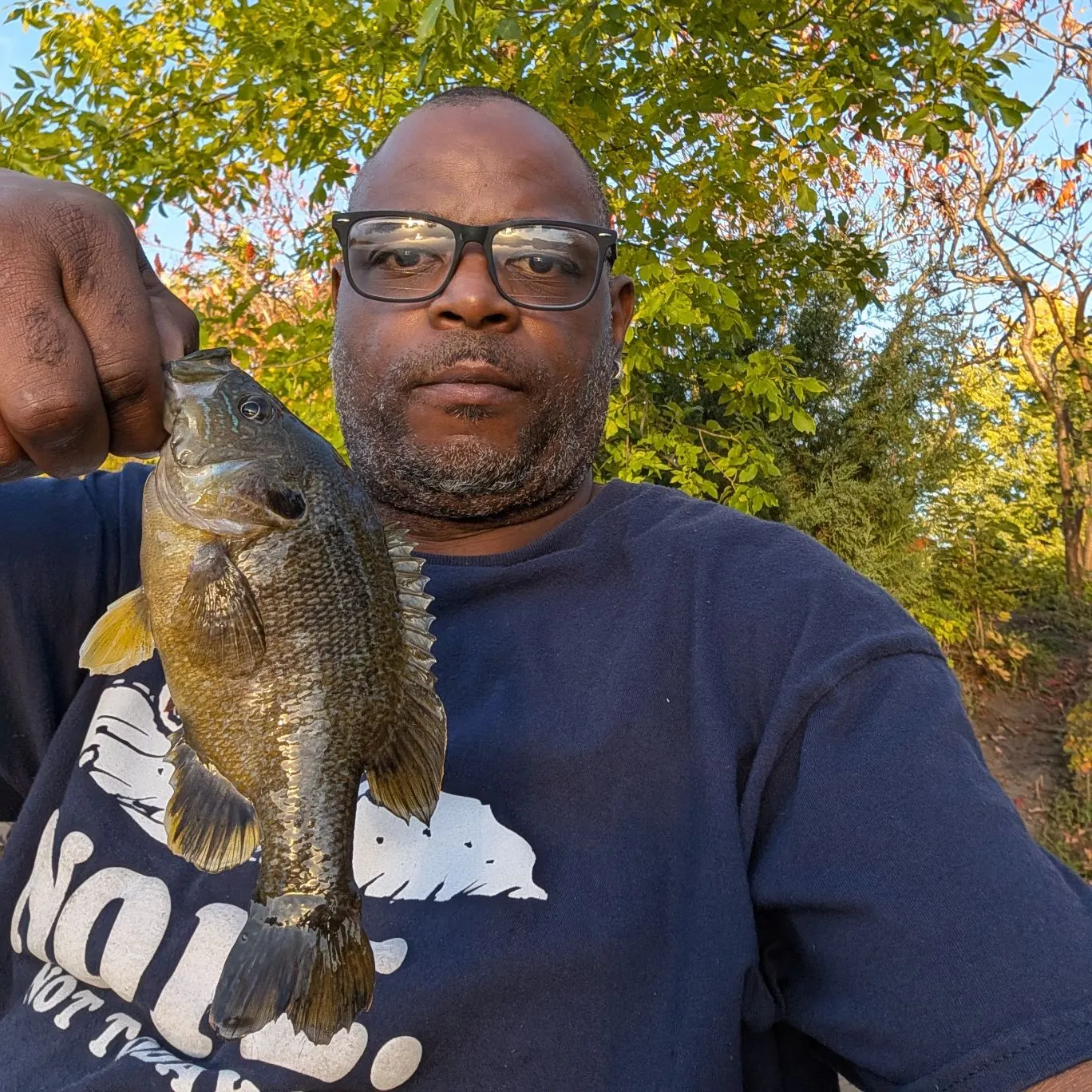 Green sunfish caught on Fishbrain
