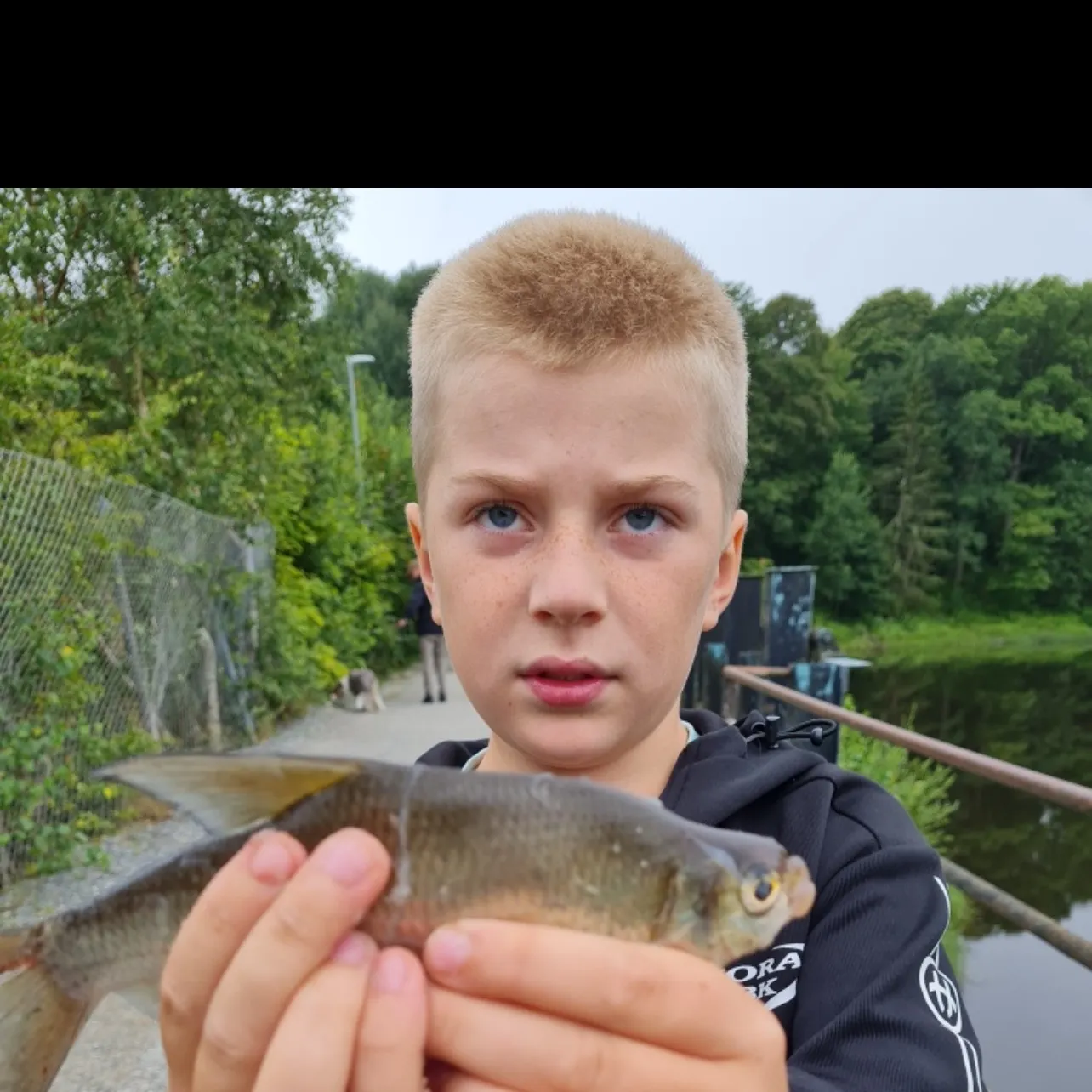 The most recent White bream catches on Fishbrain