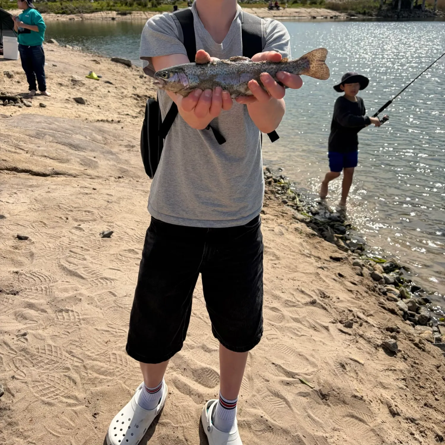 Rainbow trout caught on Fishbrain