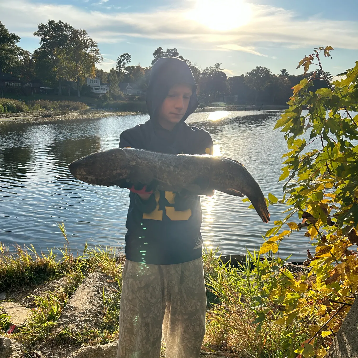 Burbot caught on Fishbrain