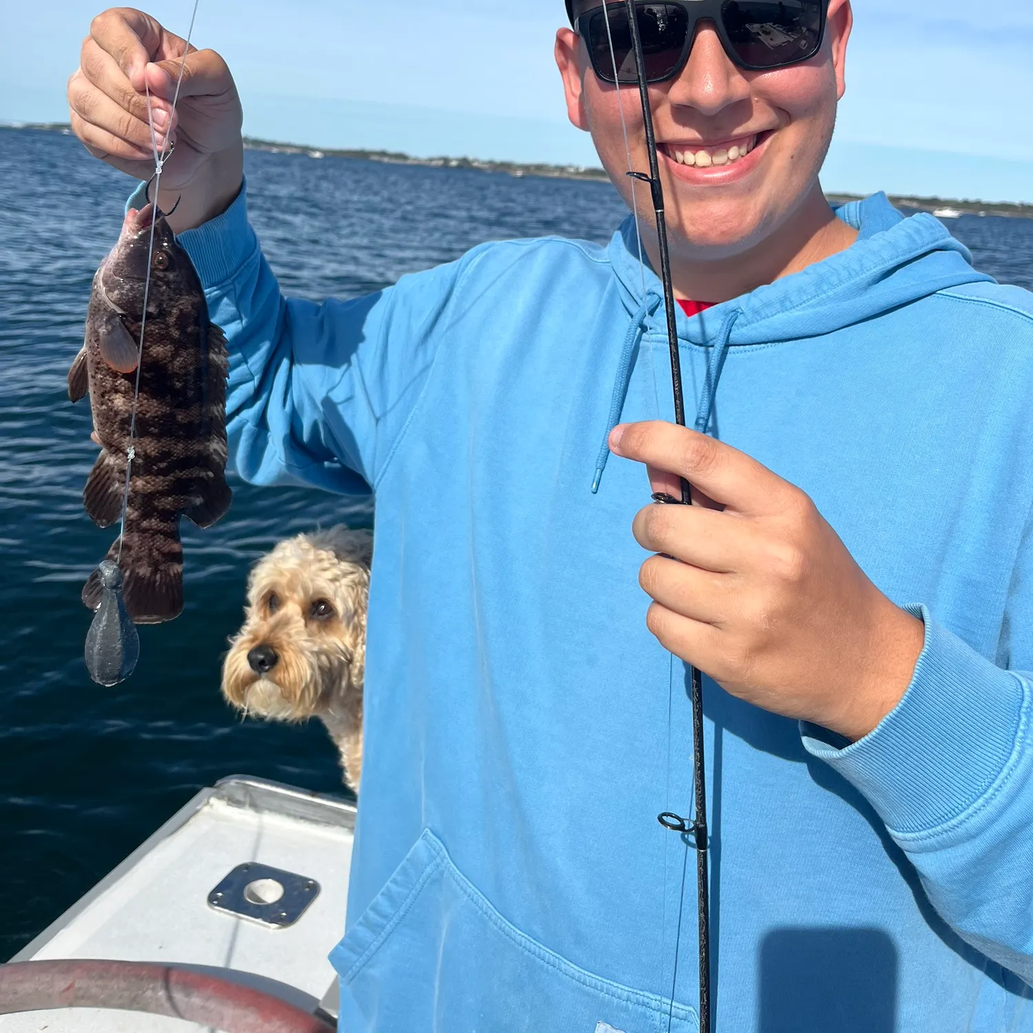 Tautog caught on Fishbrain