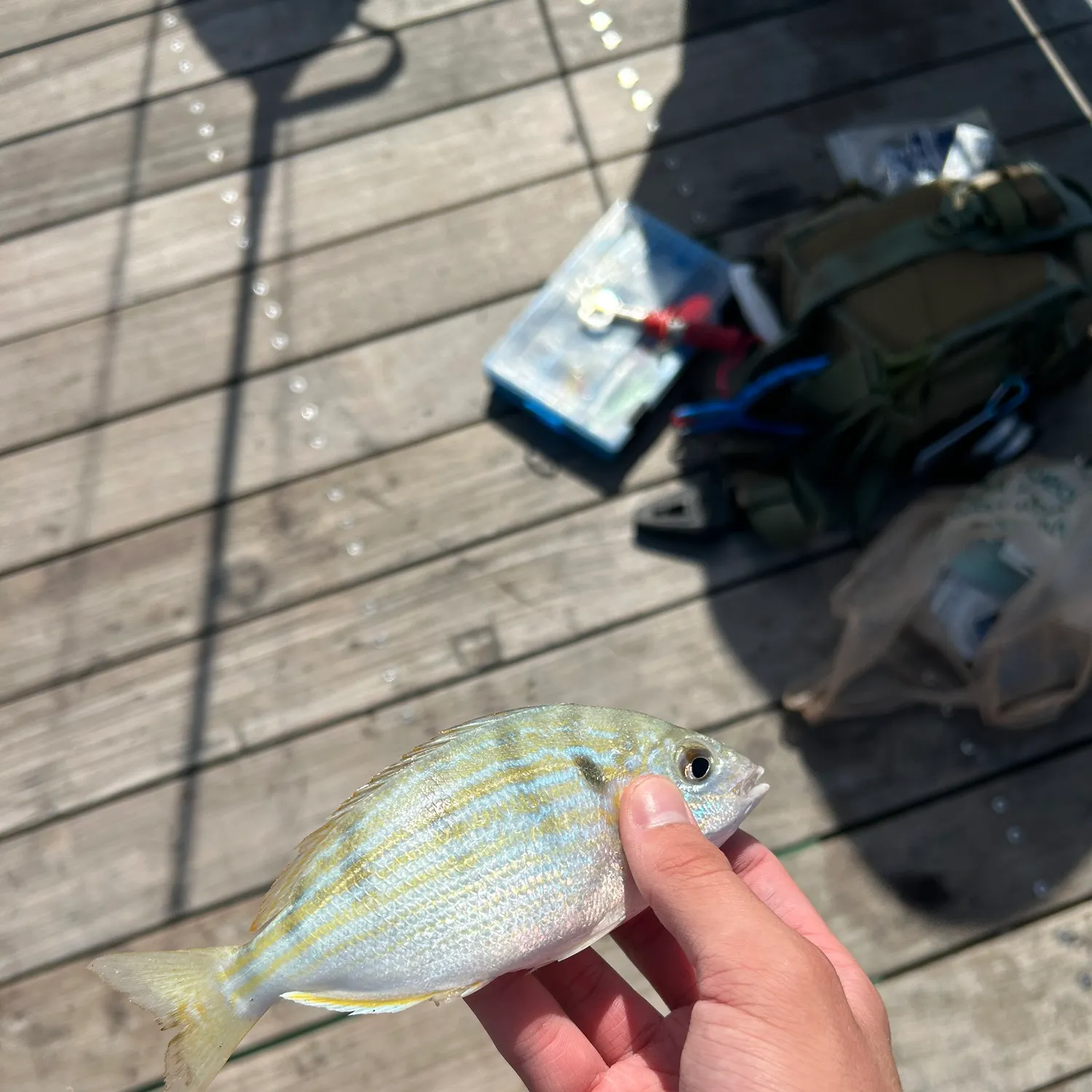 catch