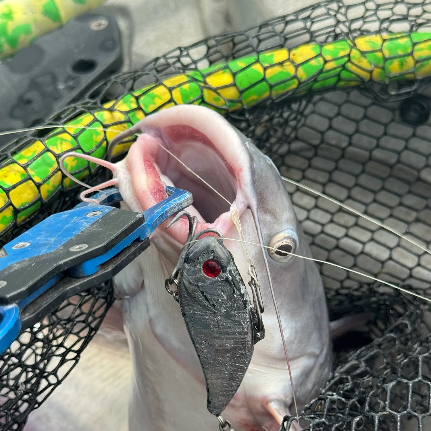 catch