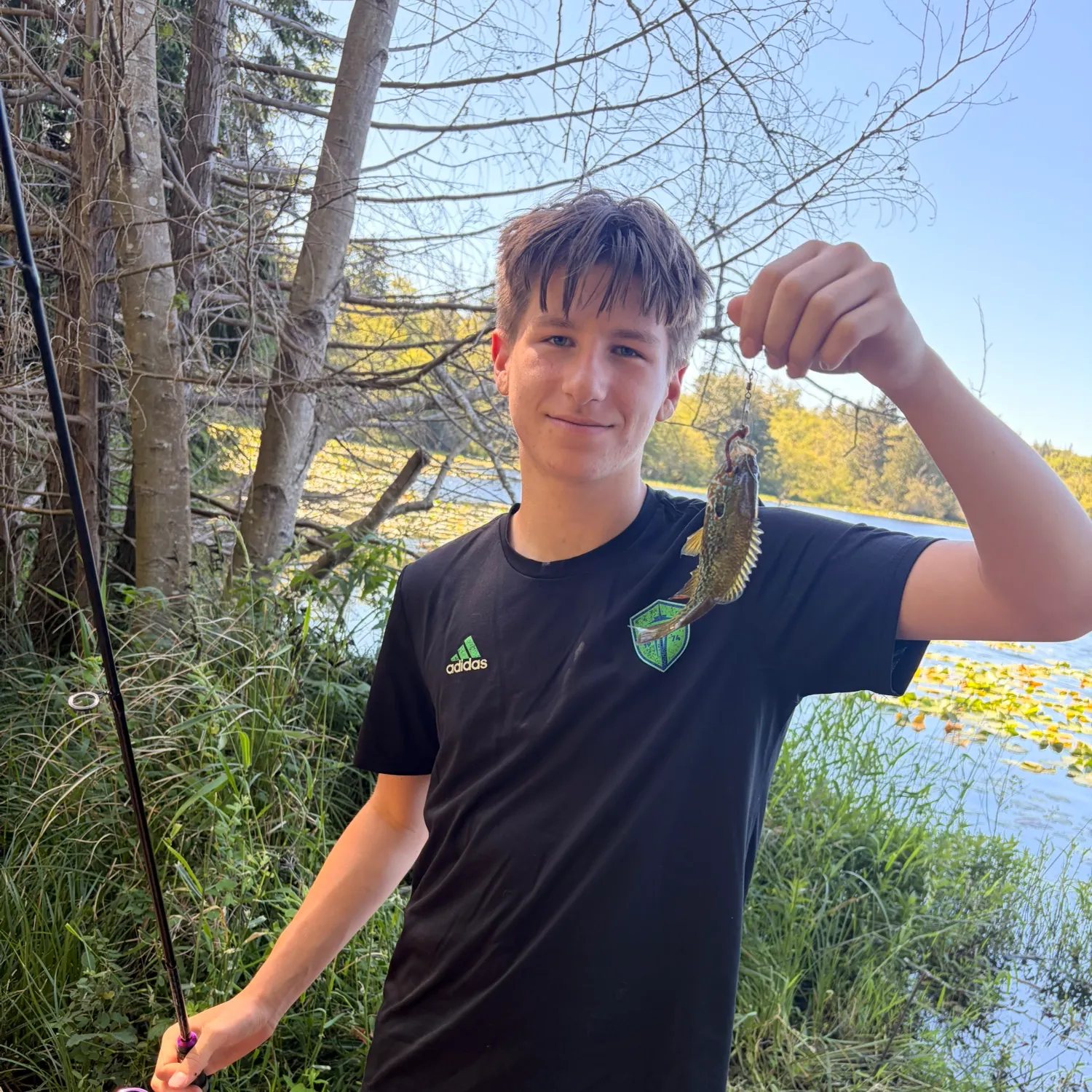 The most recent Pumpkinseed catches on Fishbrain