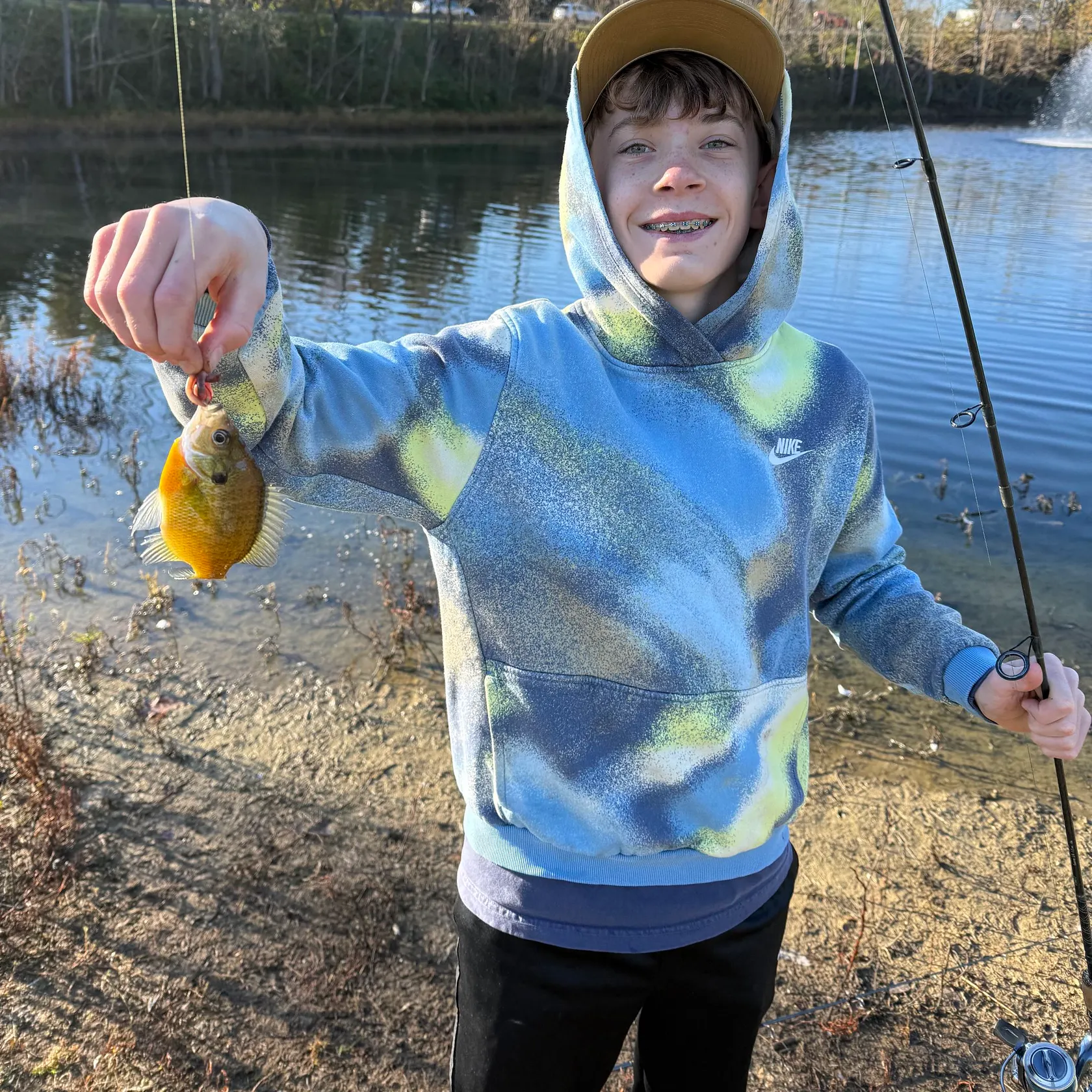 Bluegill caught on Fishbrain